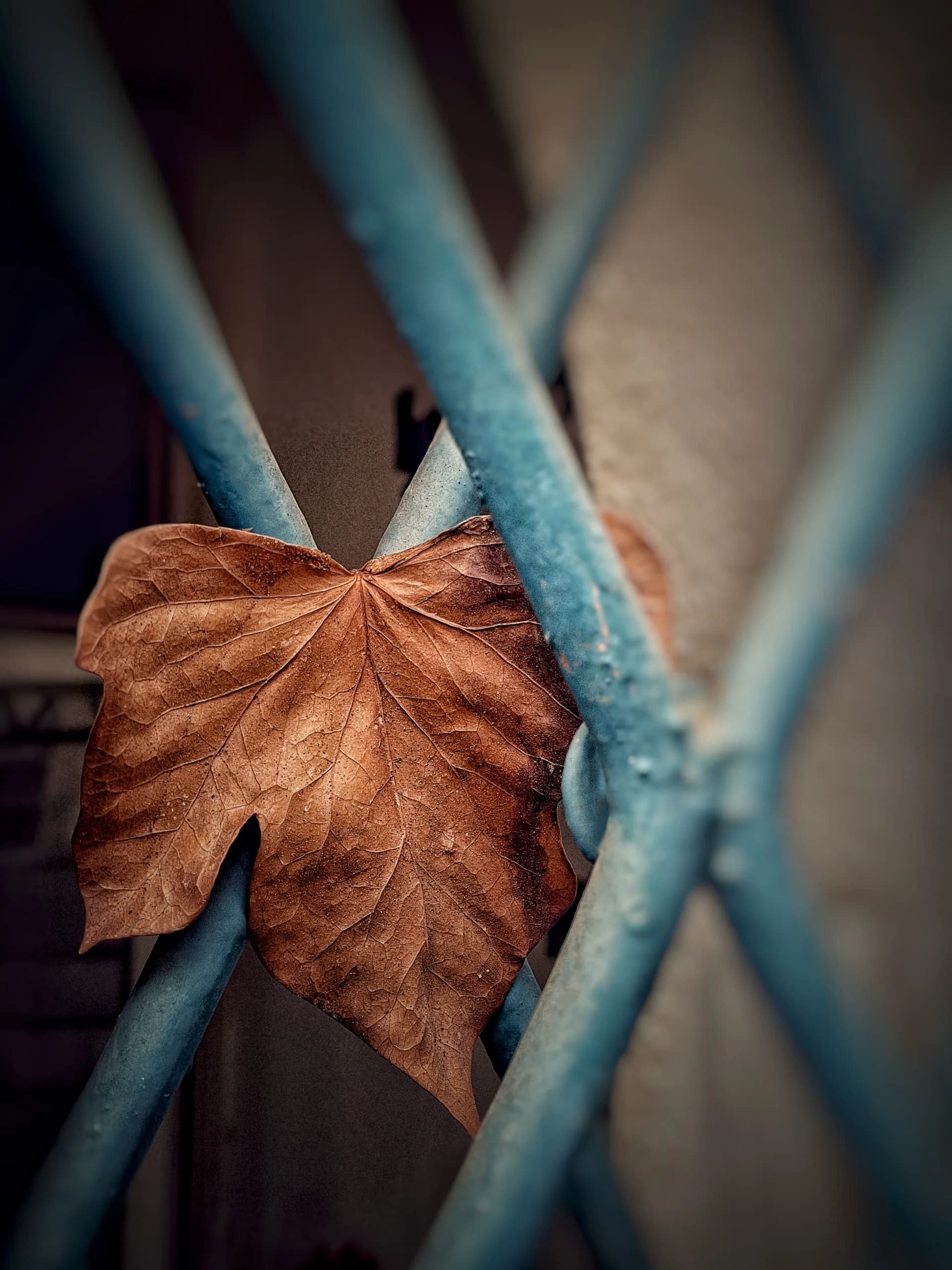 Rusted Freedom