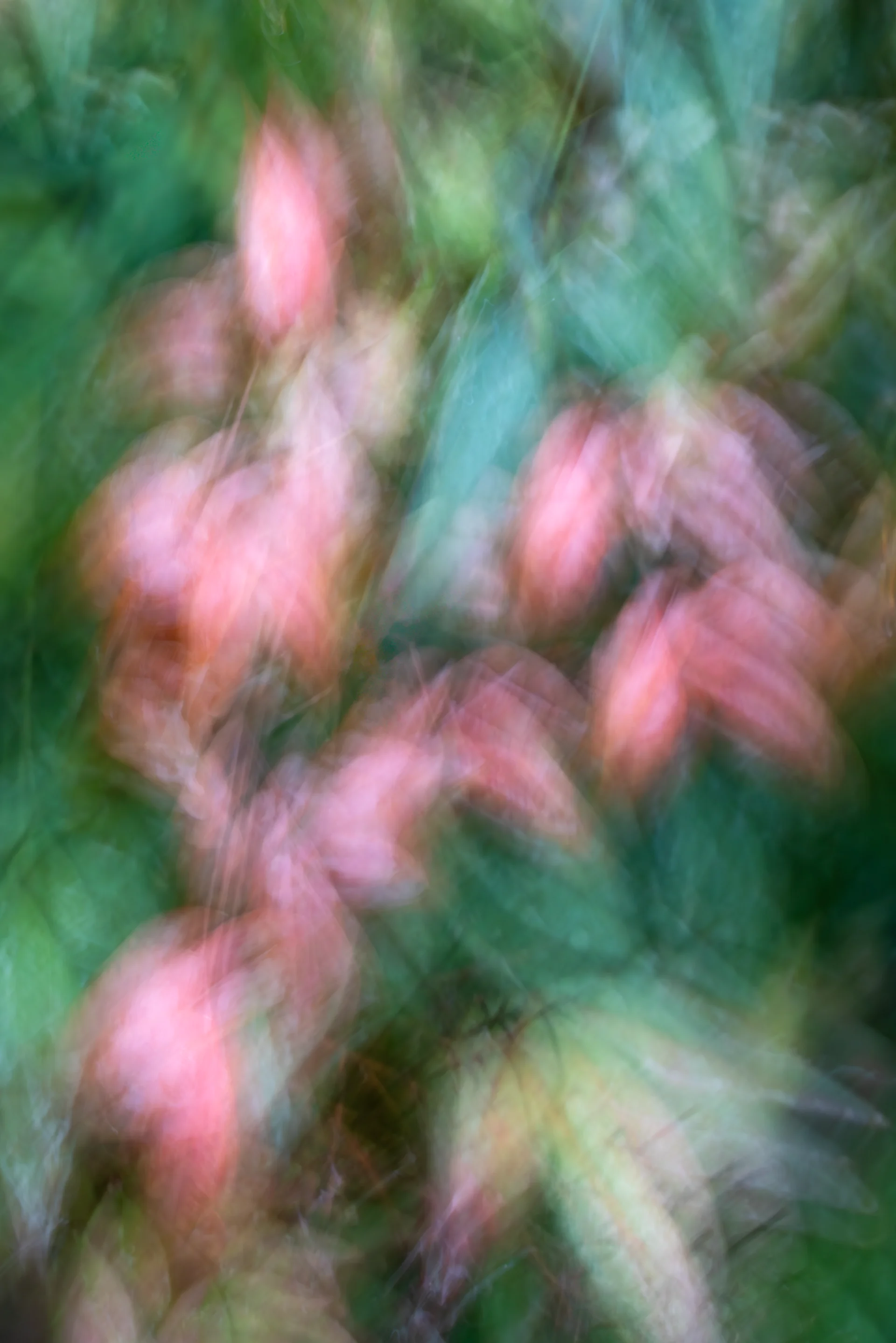 תנועת הננדינה