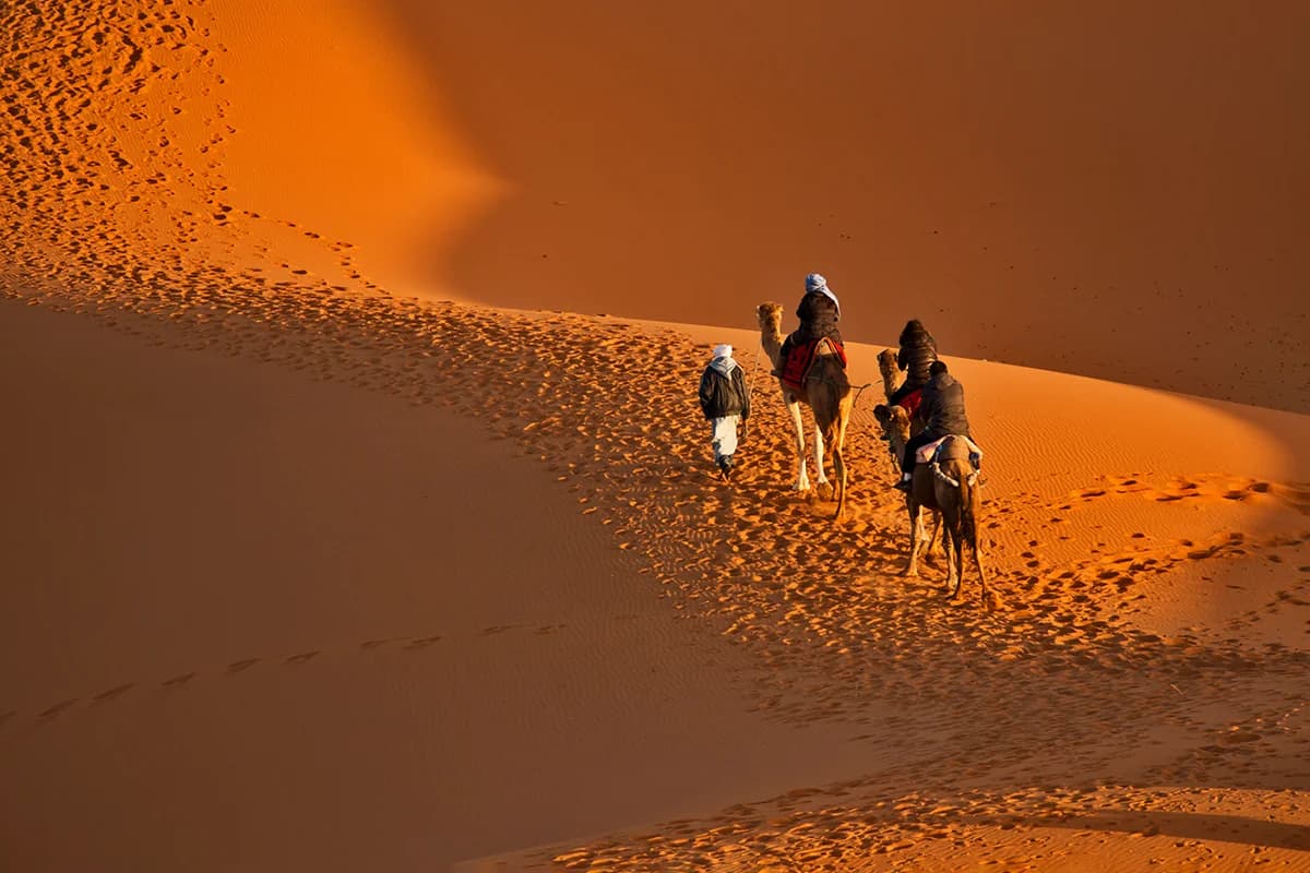 Sahara