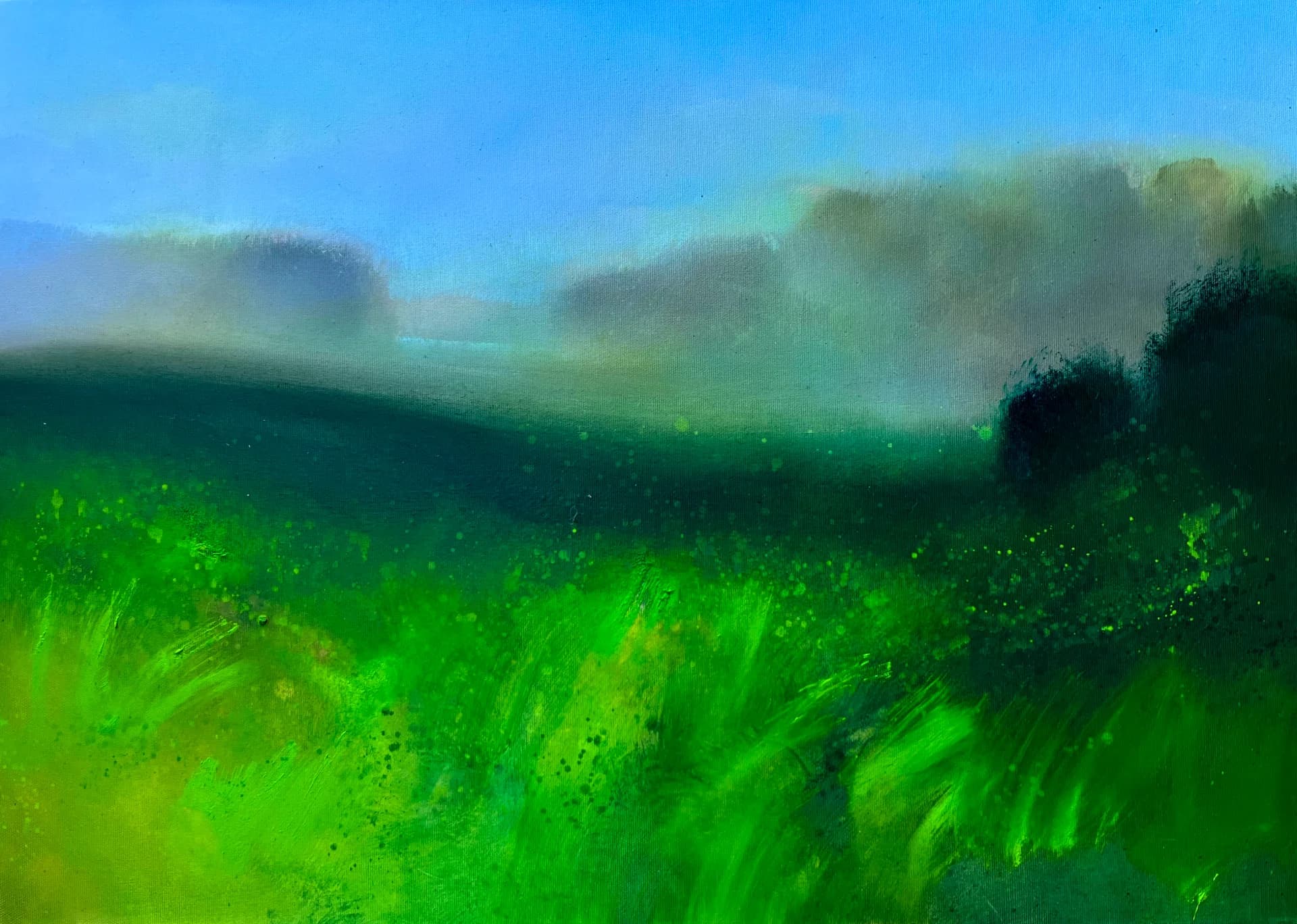 01 ערפל מוקדם