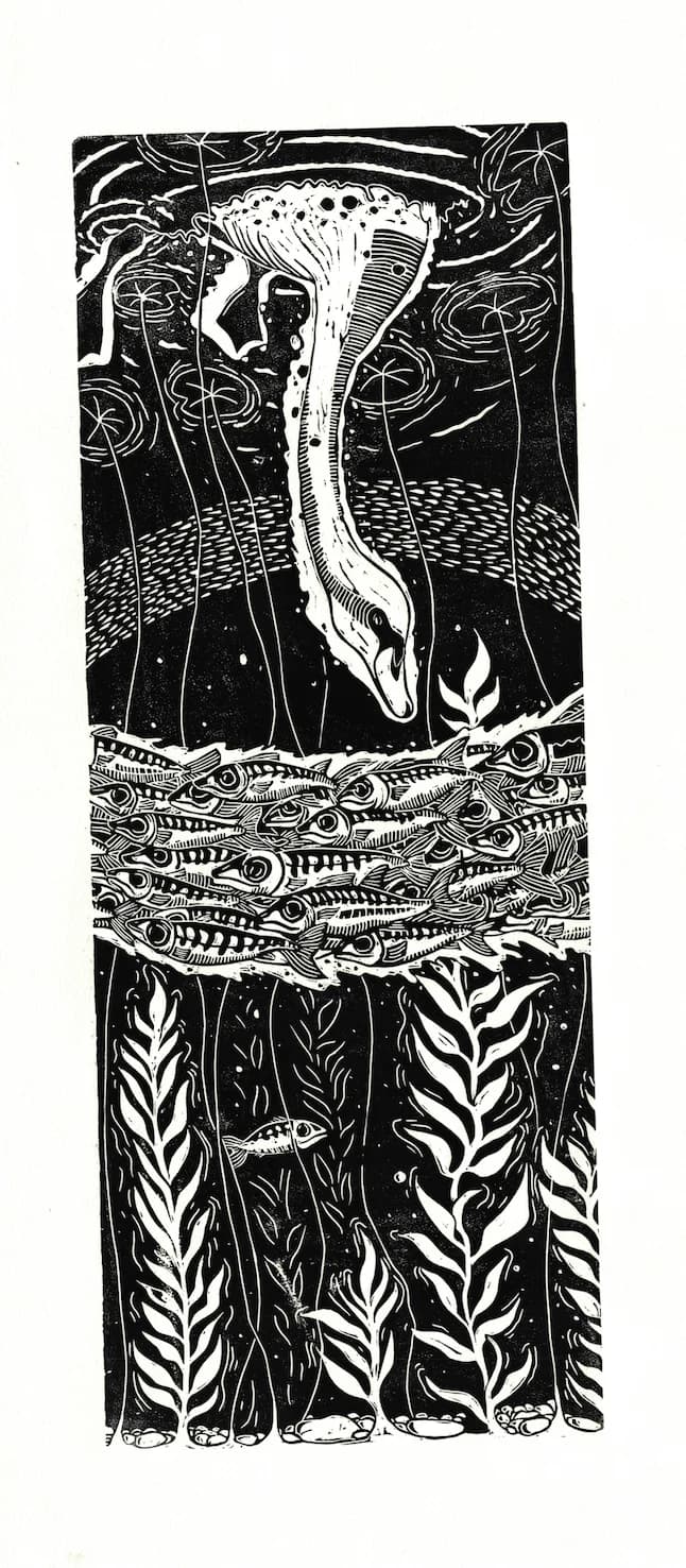 ืจืืฉ ืืชืืช ืืืื