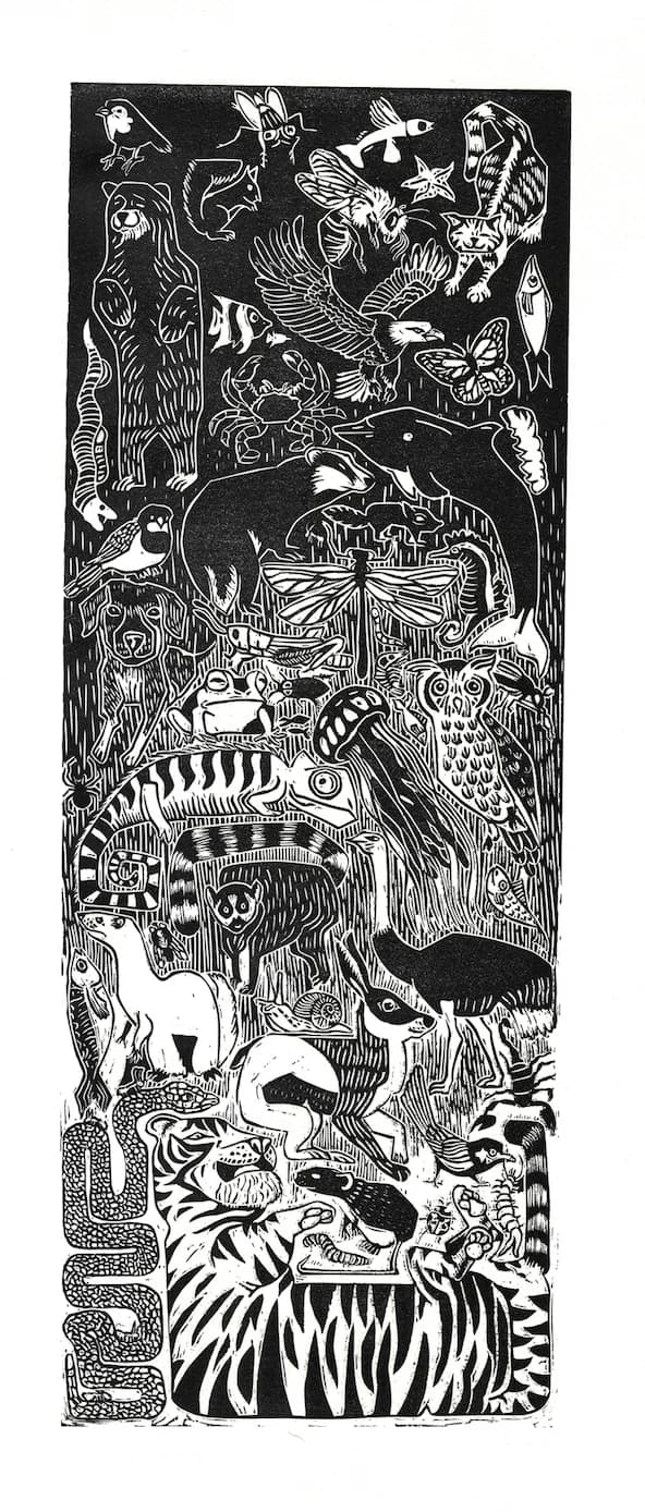 ืขืืื ืืื