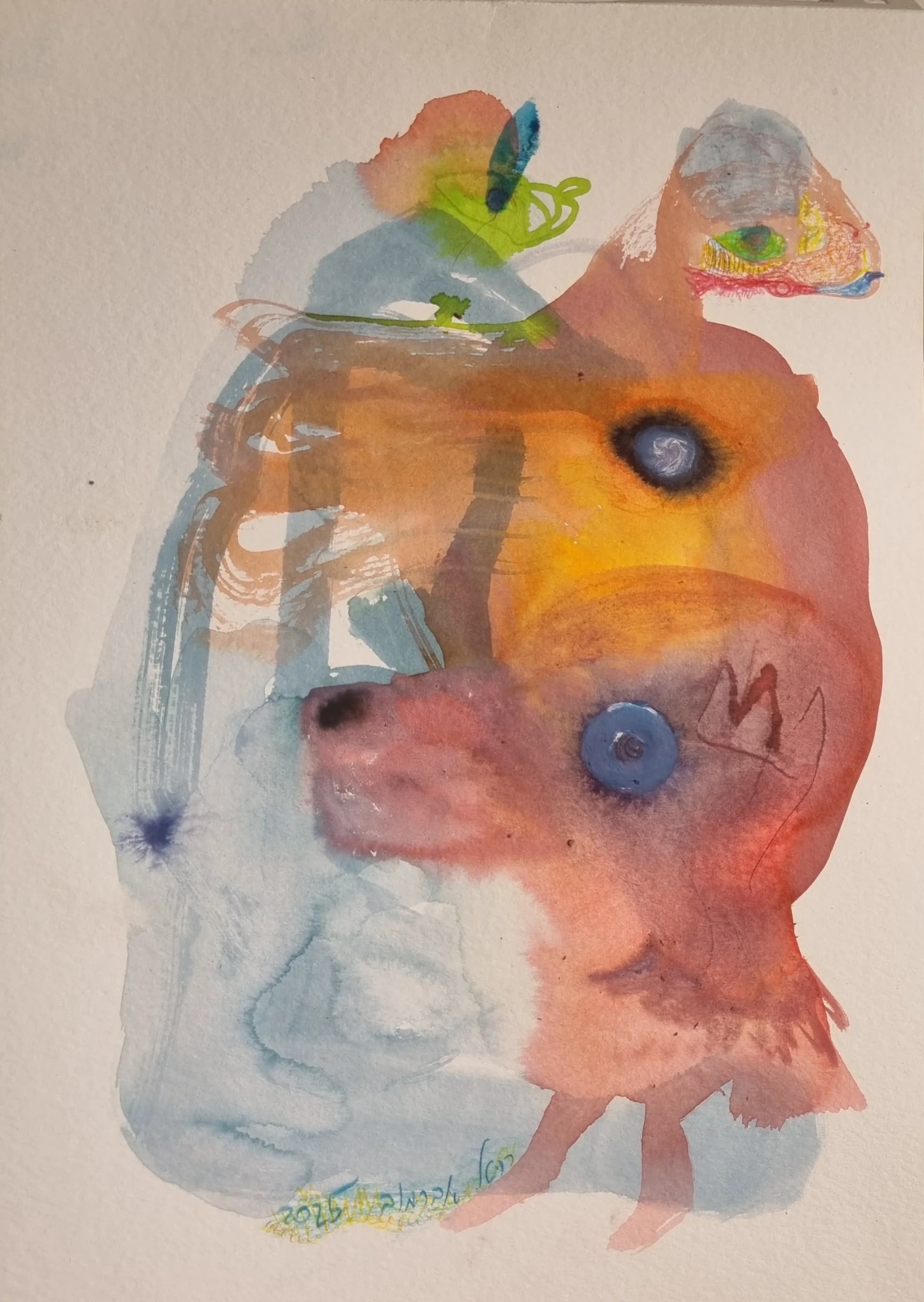 ืืื ืืืชืจืช