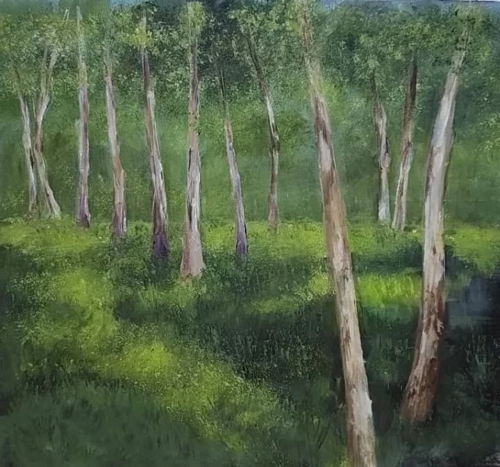 A nearby forest