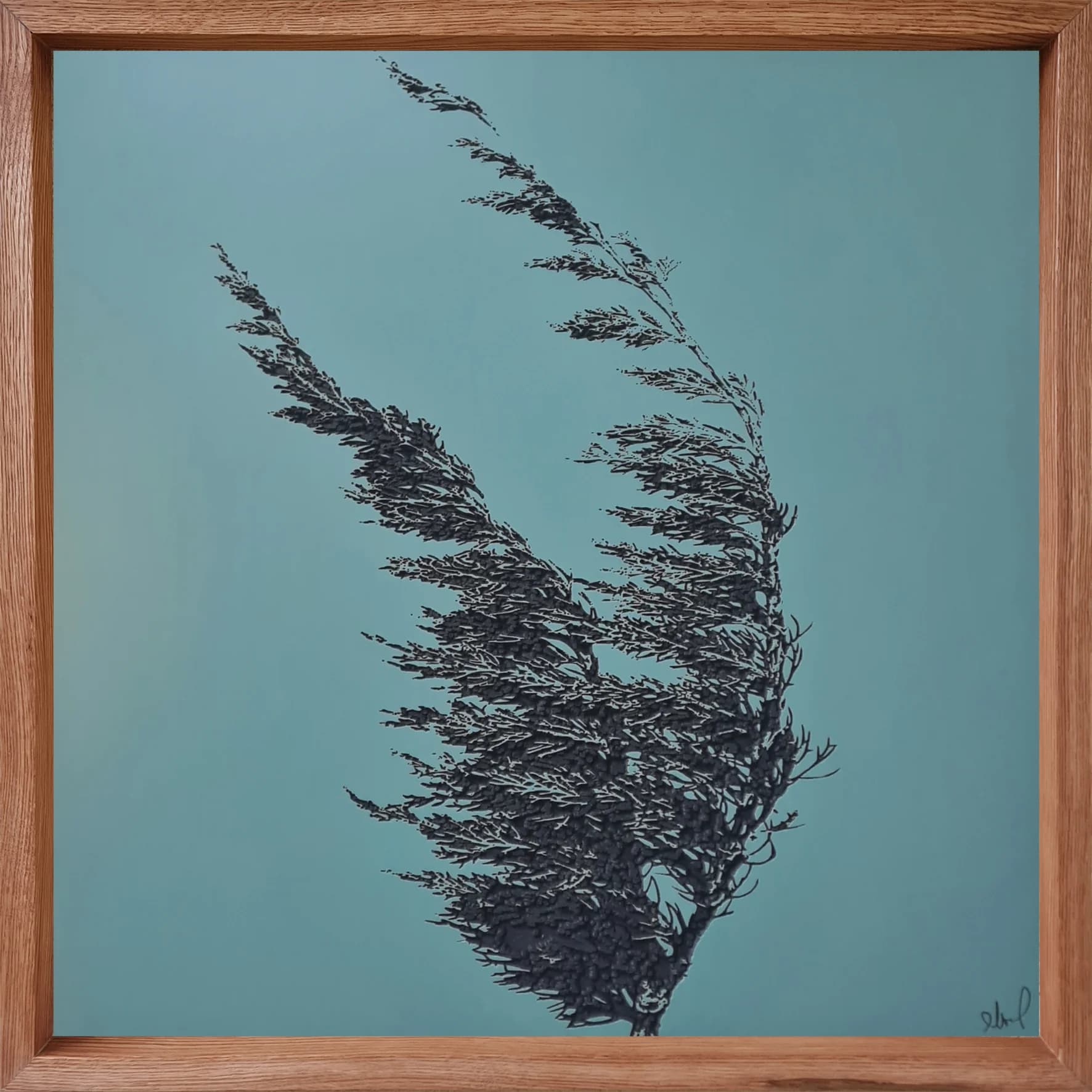 The cypress in the wind 1