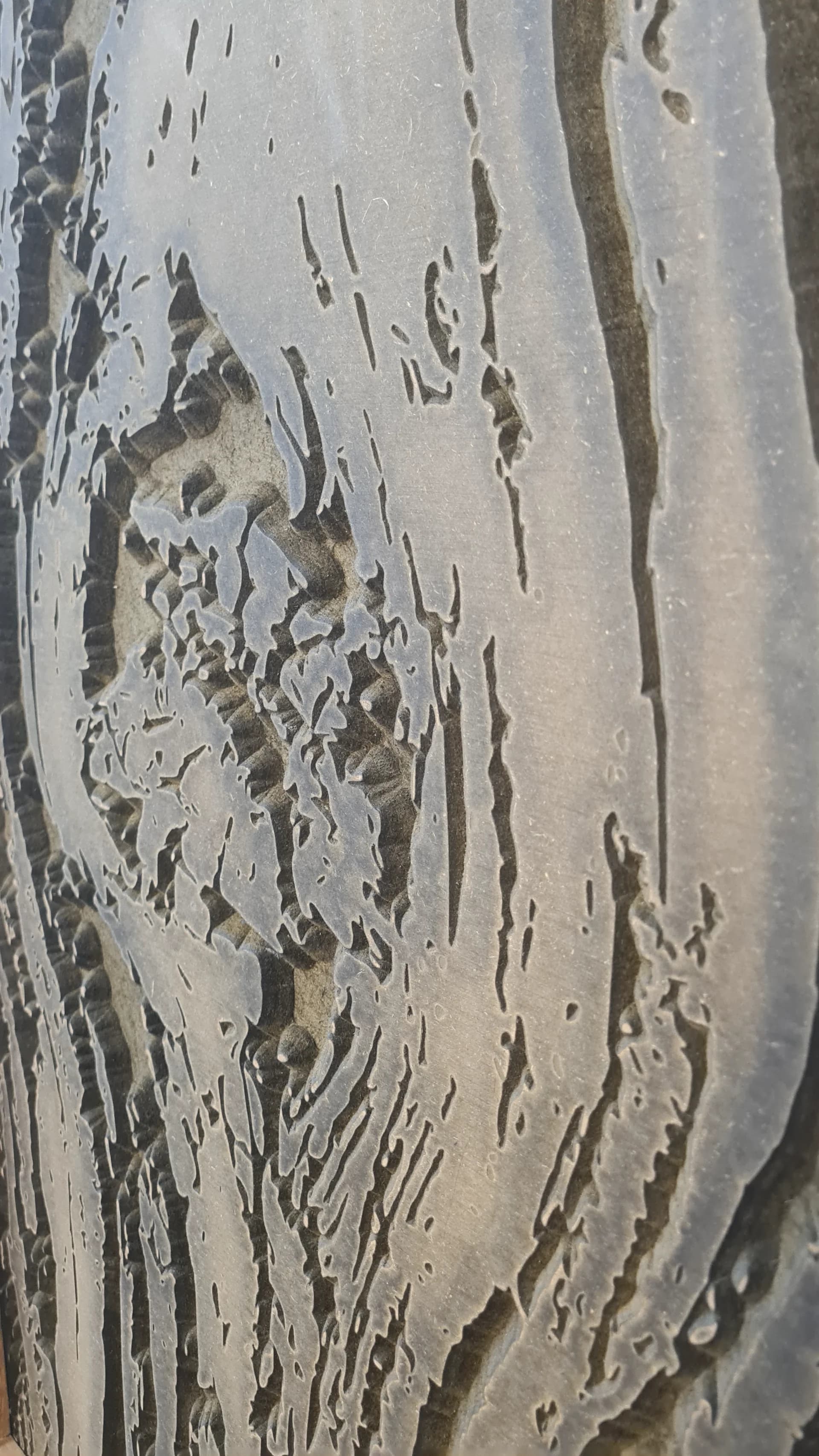 The crack of the trunk 3