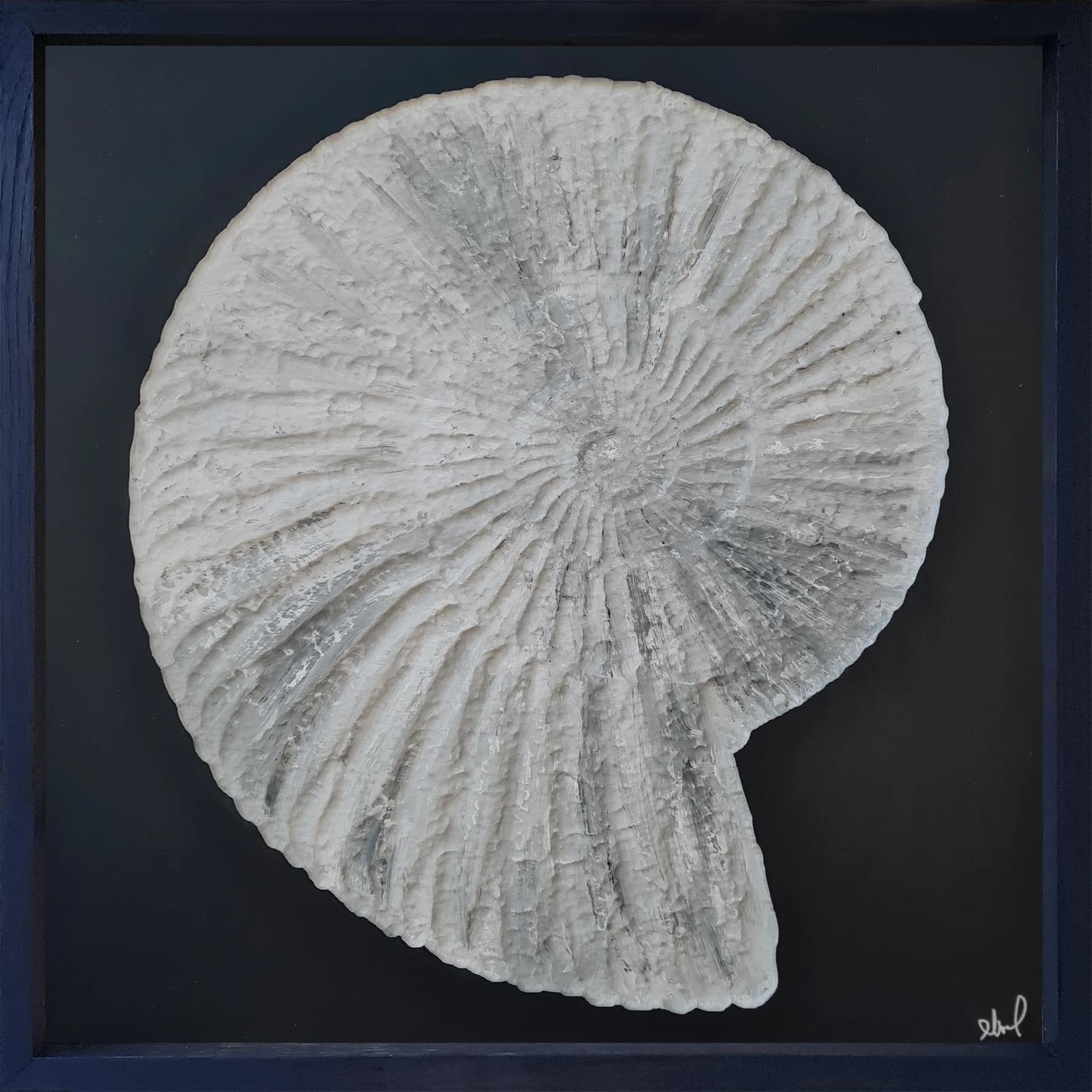 The fossil 1