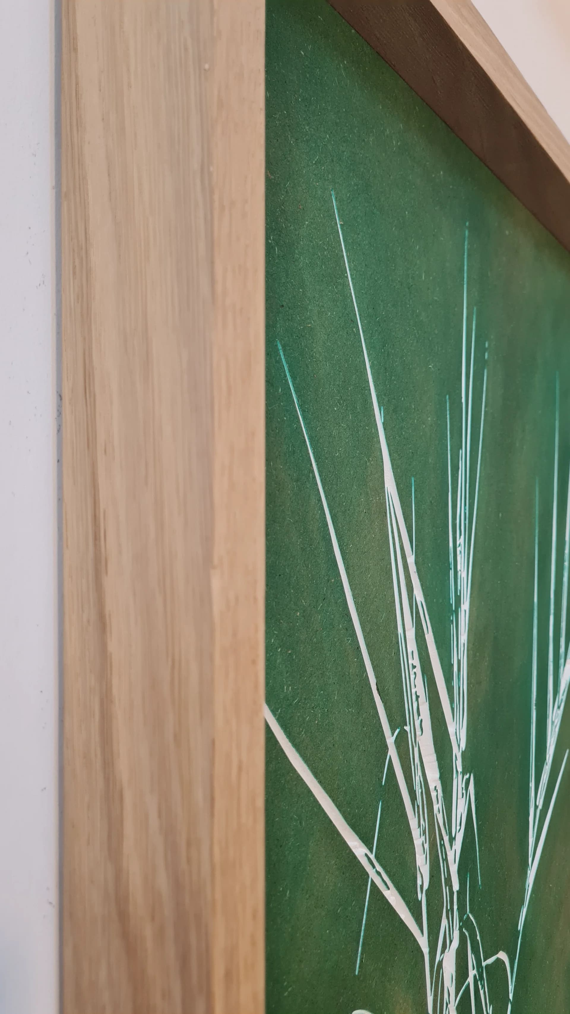 Giant reed 4