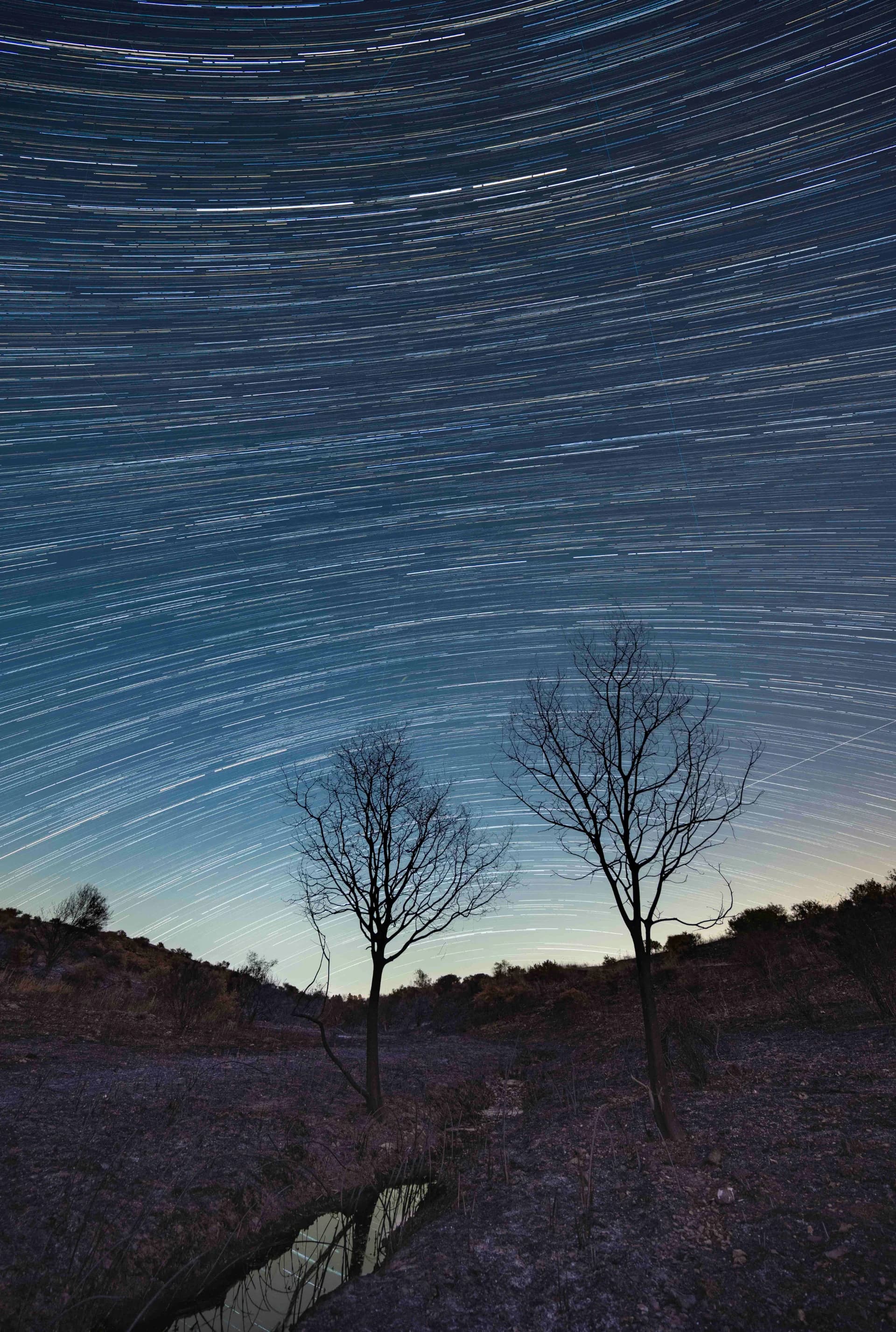 כוכבים מעל השריפה