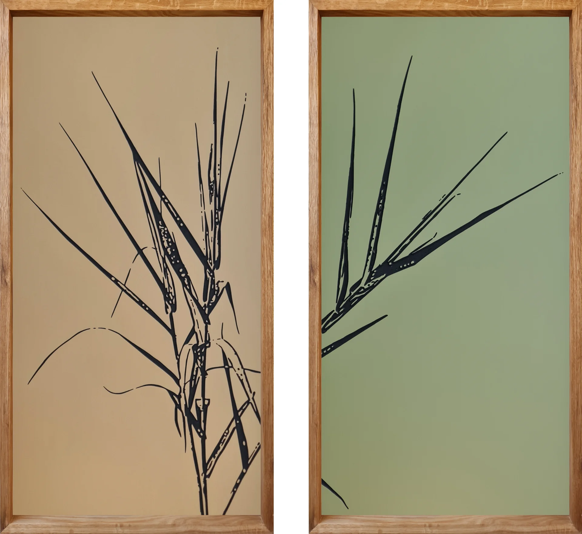 Giant reed 2