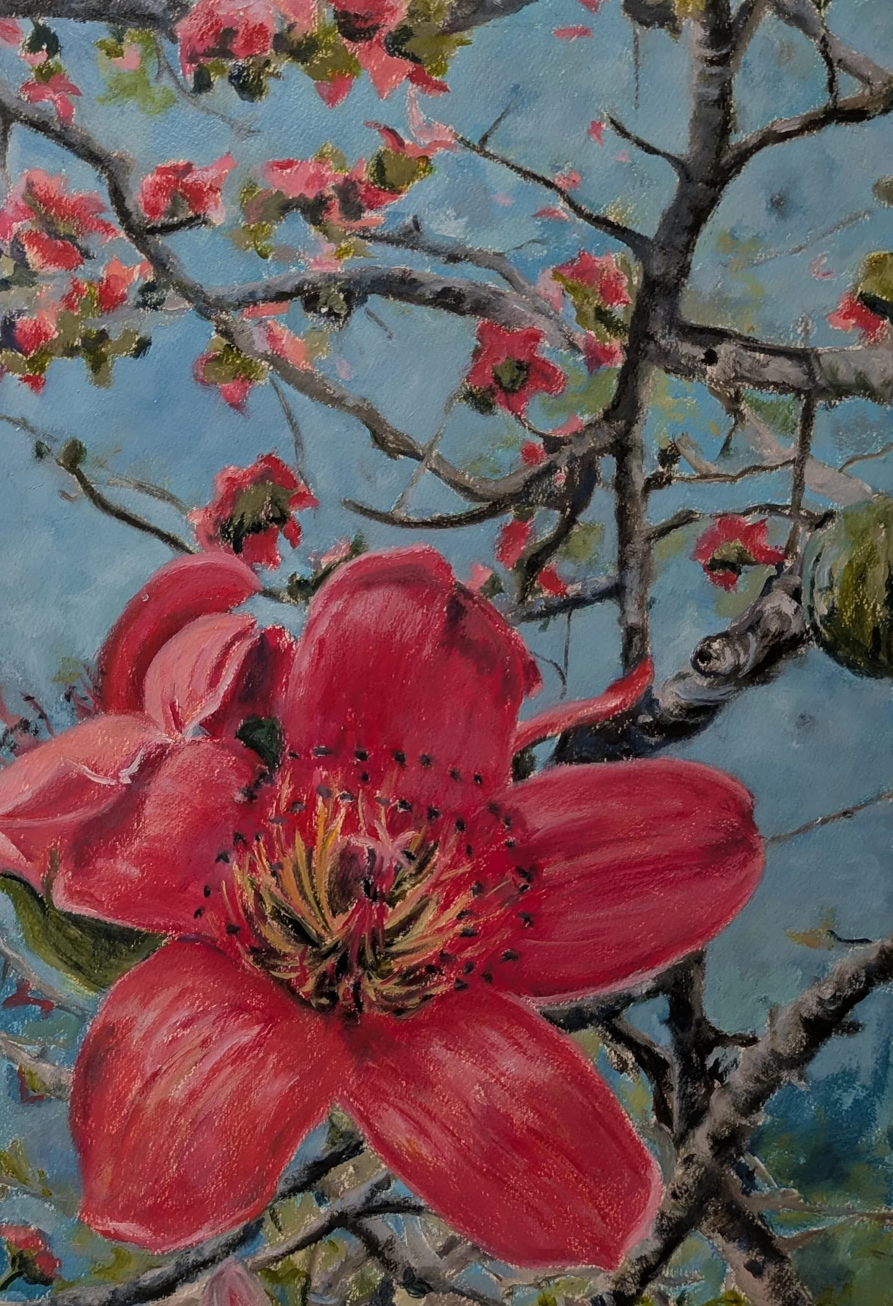 Red Cotton tree on blue