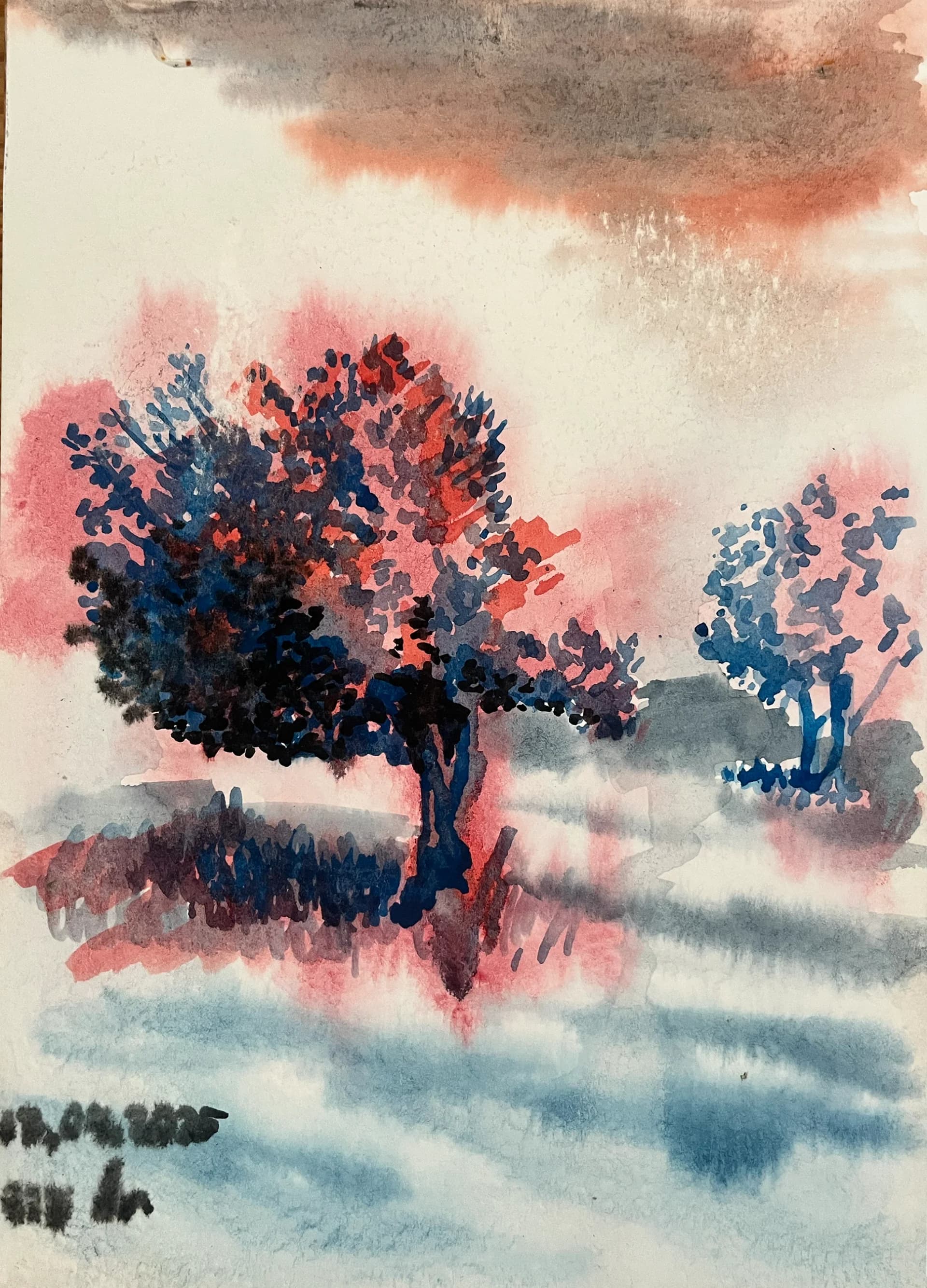 עץ זית בנגב