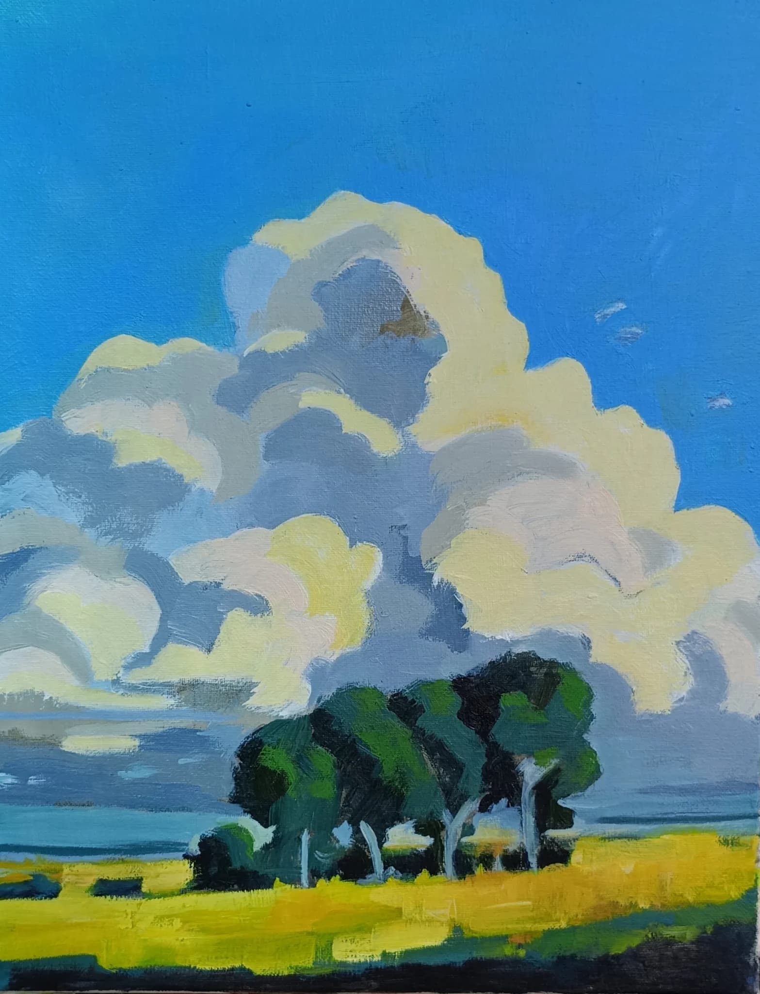 Golden Clouds Over the Field 14