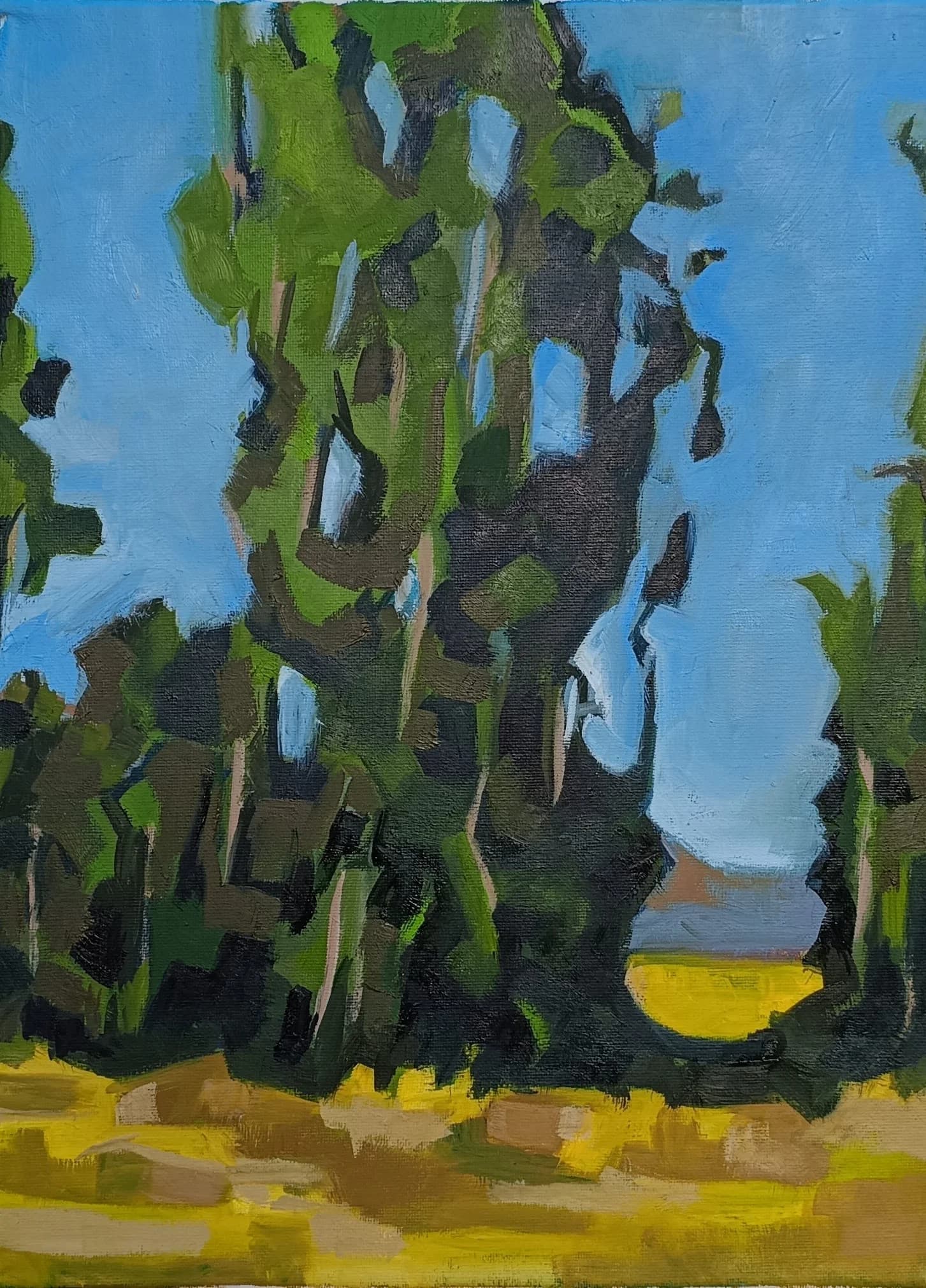 Summer Tree Avenue 15