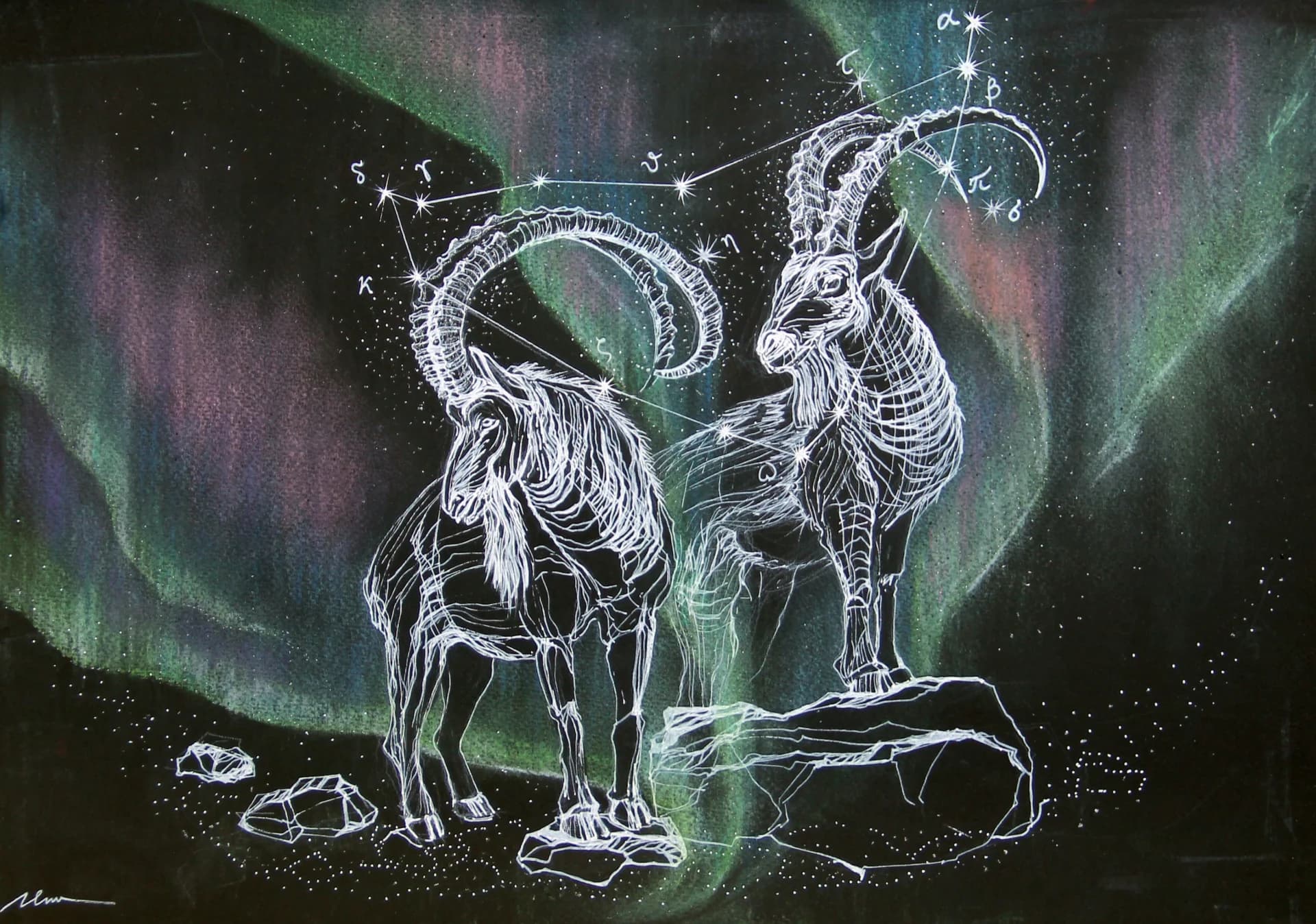 Capricorn