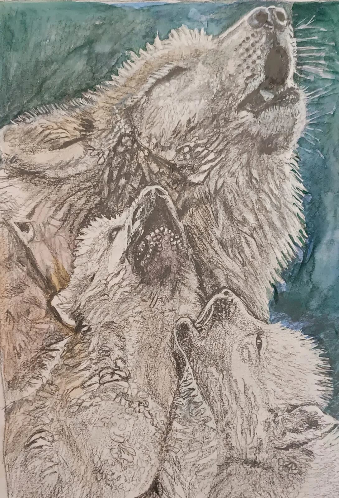 howlling wolves