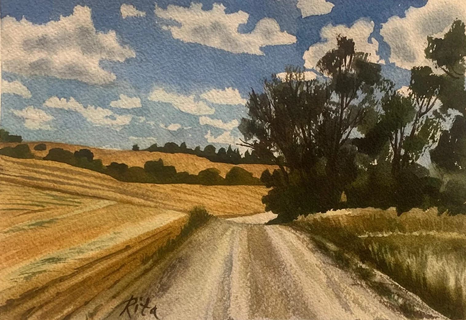 A road between the fields