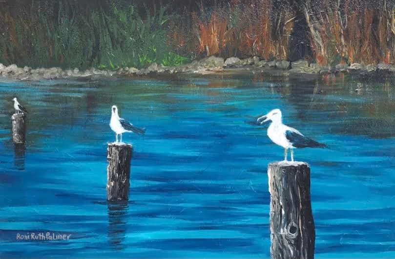 Seagulls in the lake