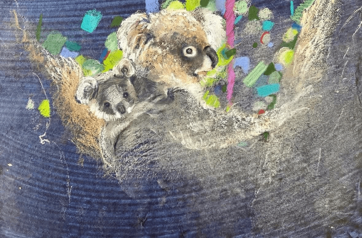 Koala