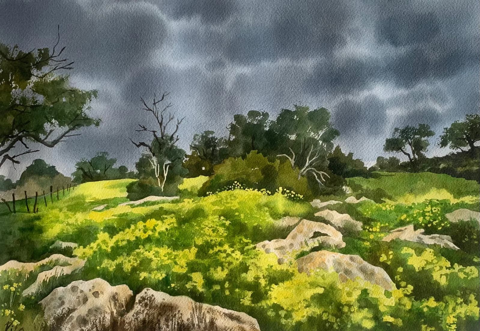 Before the rain