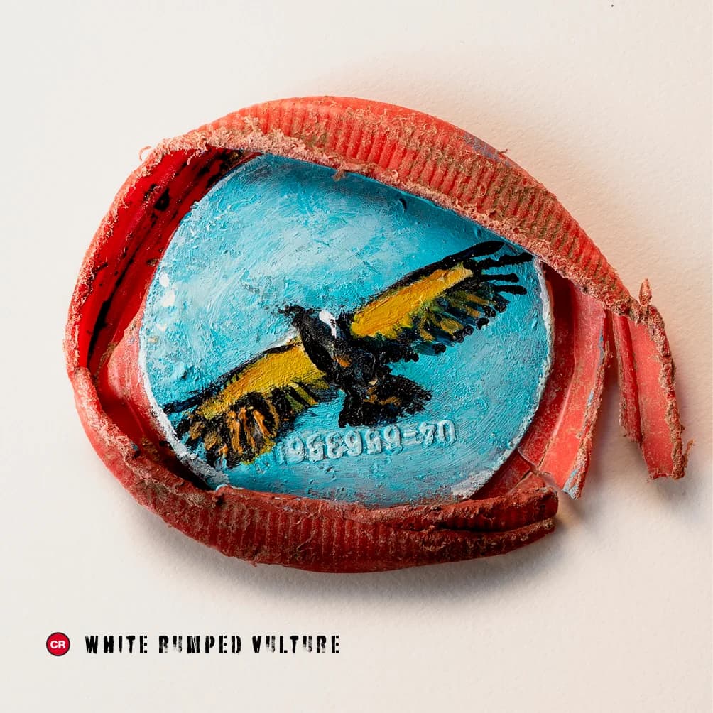 נשר לבן מתוך הסדרה ״נפש חיה״ 54 חיות בסכנת הכחדה על פסולת