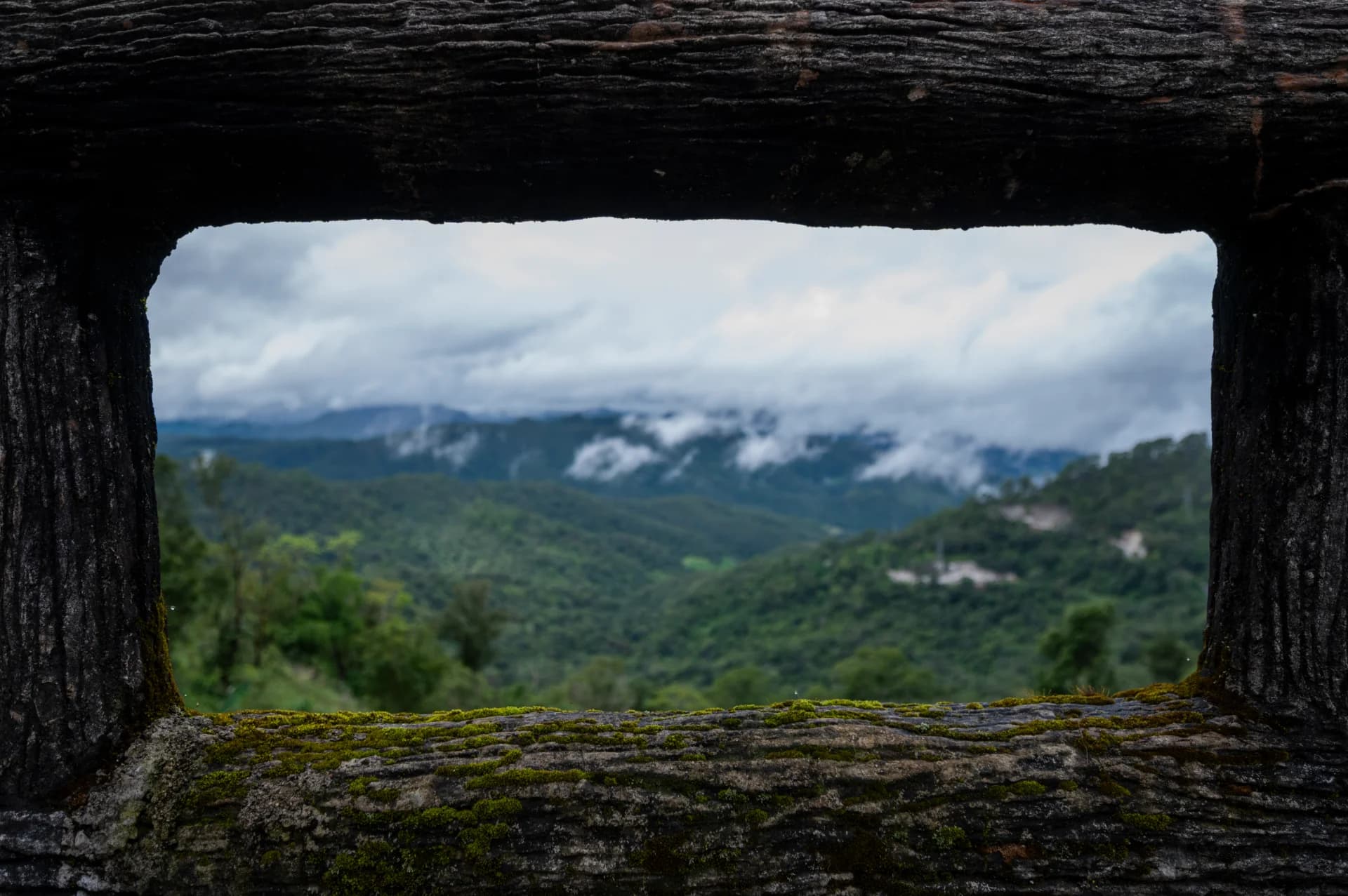 מסגרת בתוך תמונה
