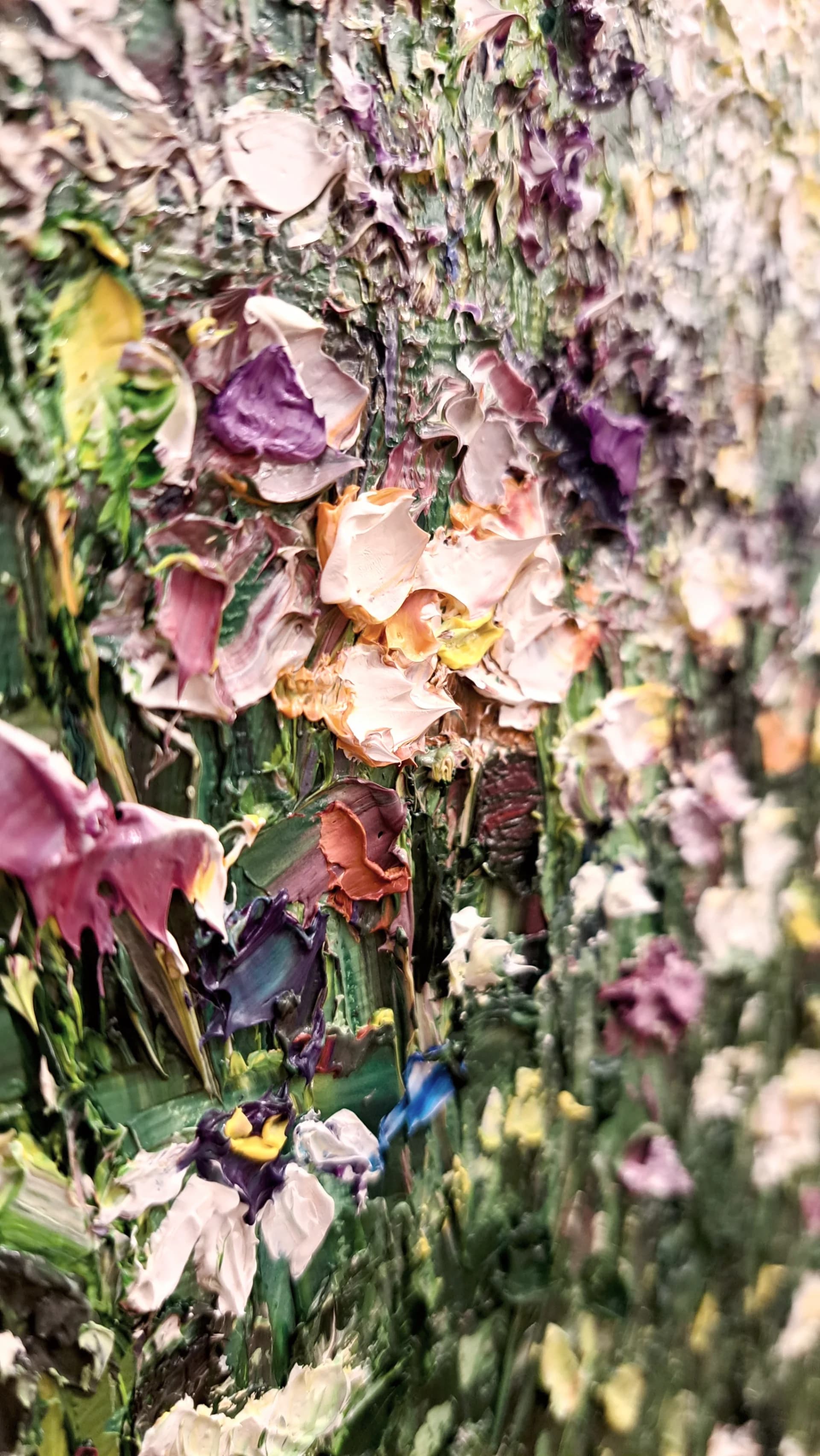 Flowerfield at sunrise 3
