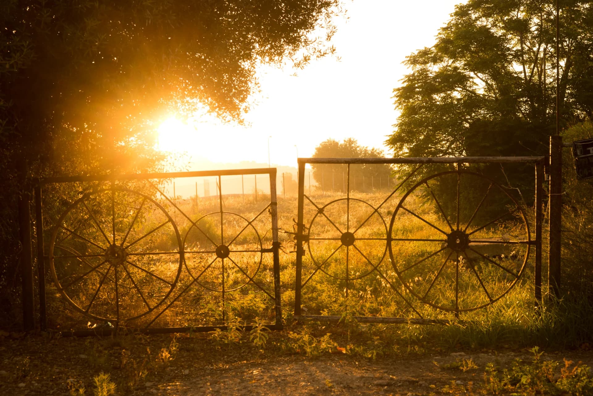 sunrise at the gate