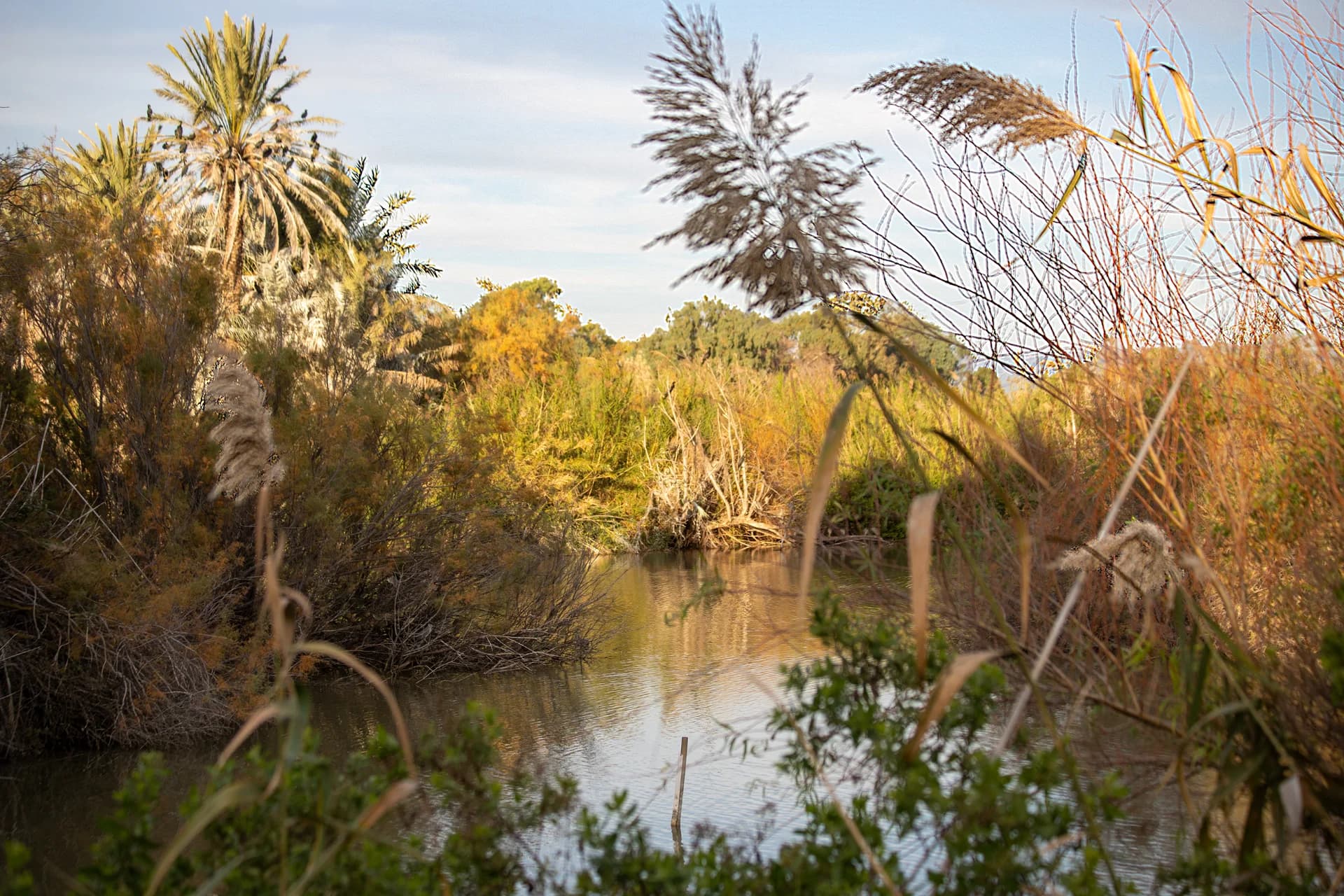 Reflections in the Reserve