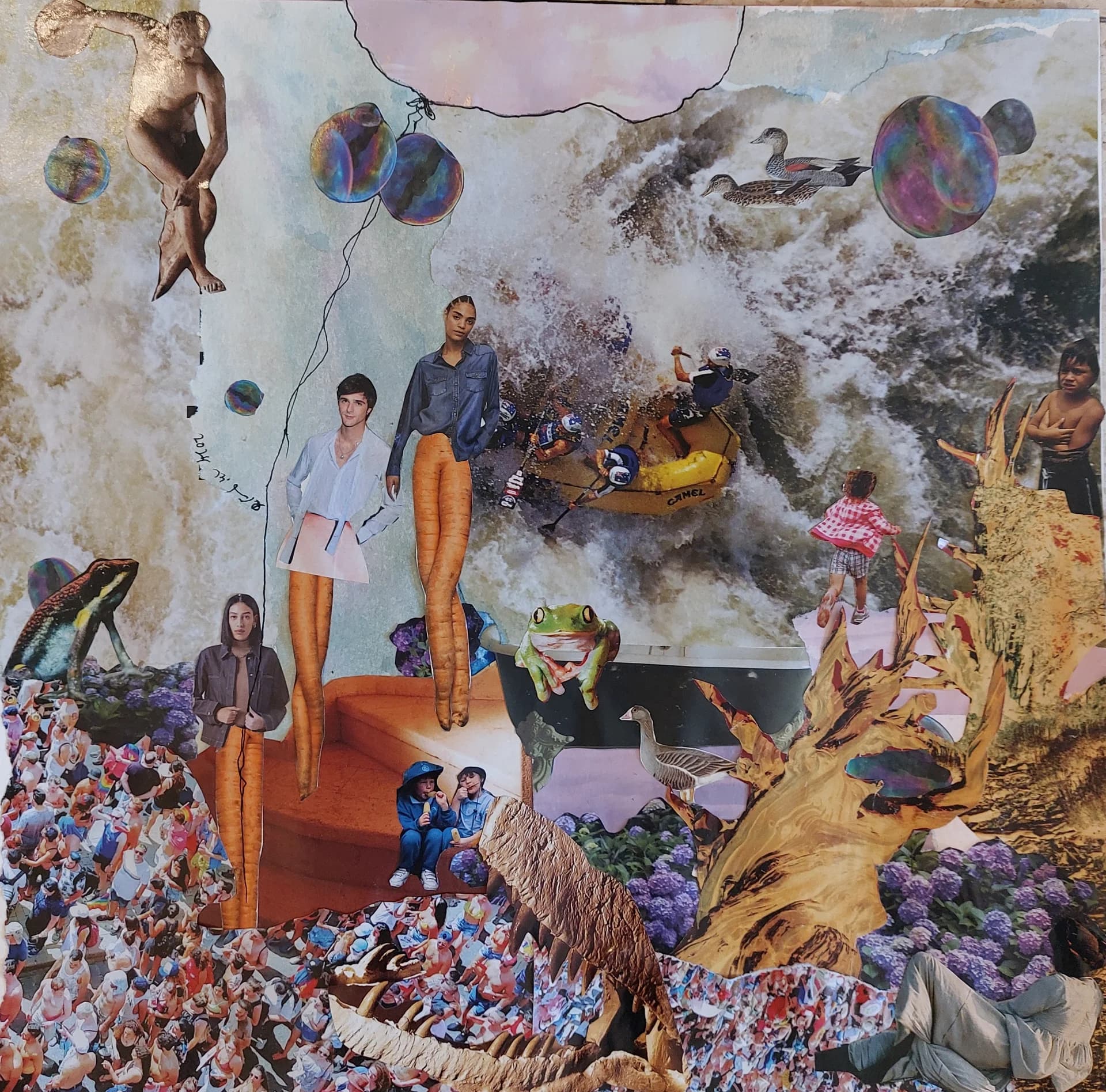 הוריקן שואו