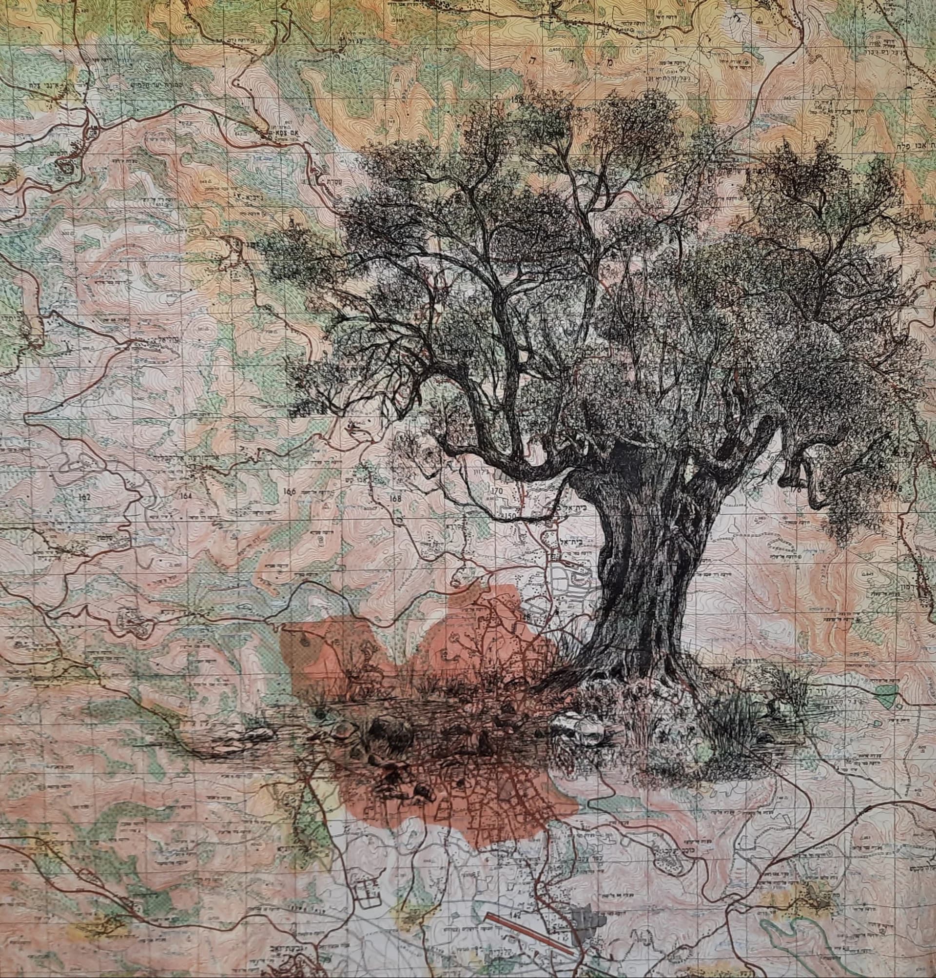 Drawing an olive tree on a trail marking map