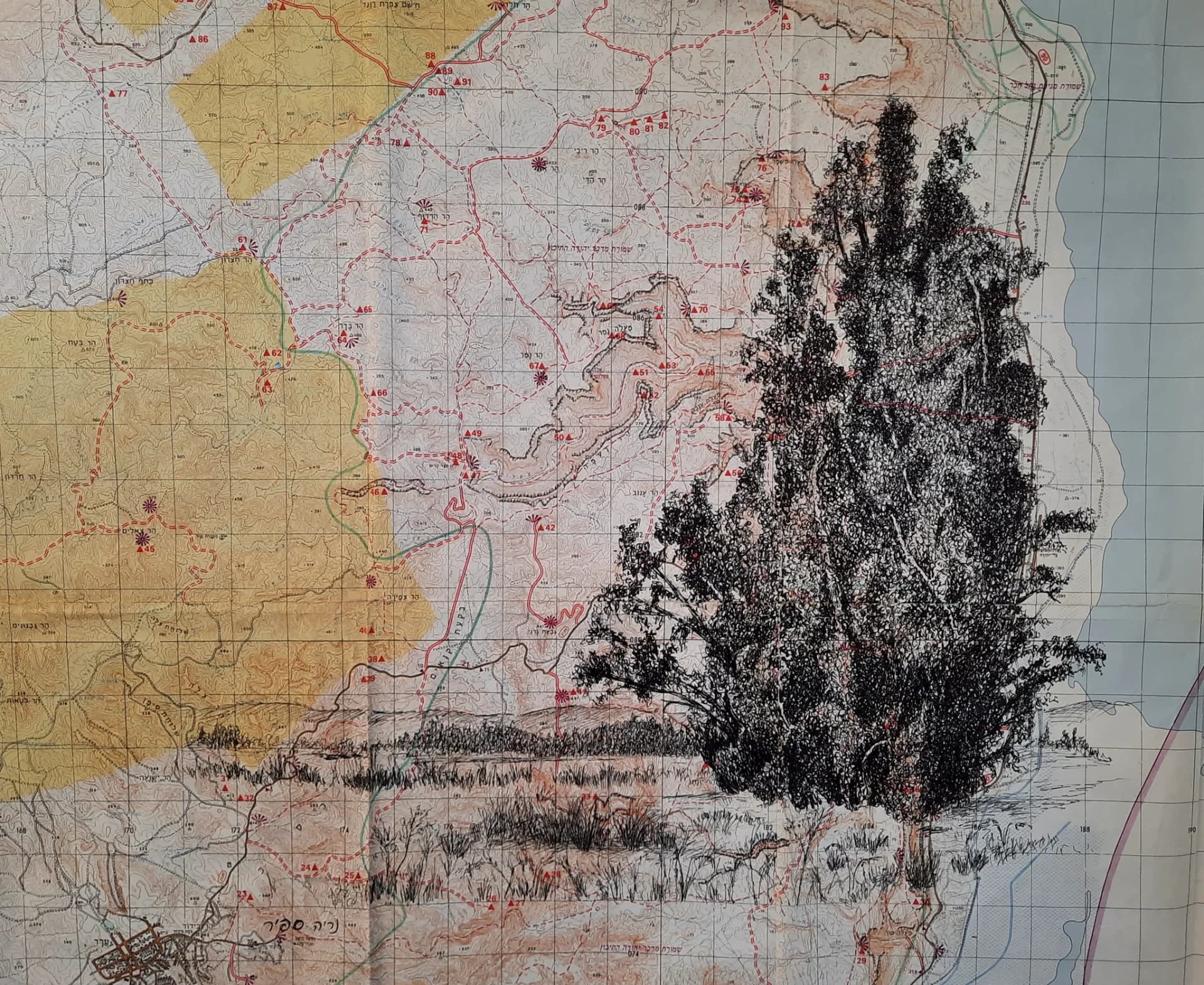 רישום על מפת סימון שבילים