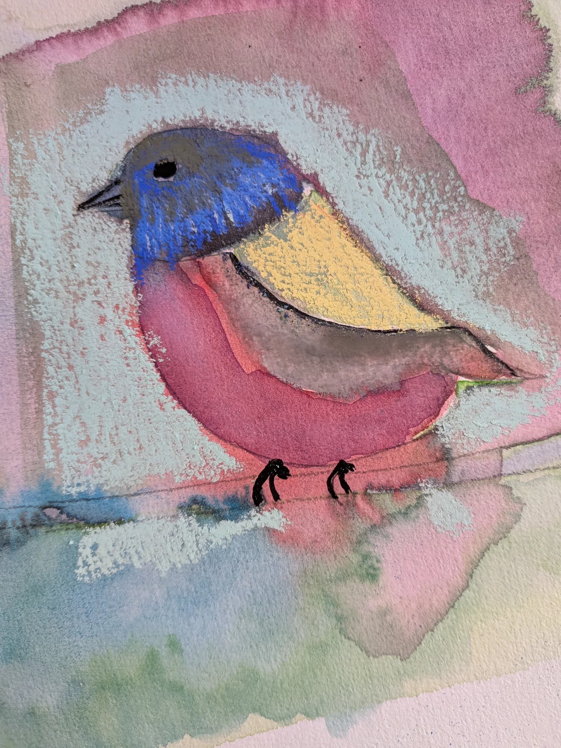 ציפור אדומת חזה