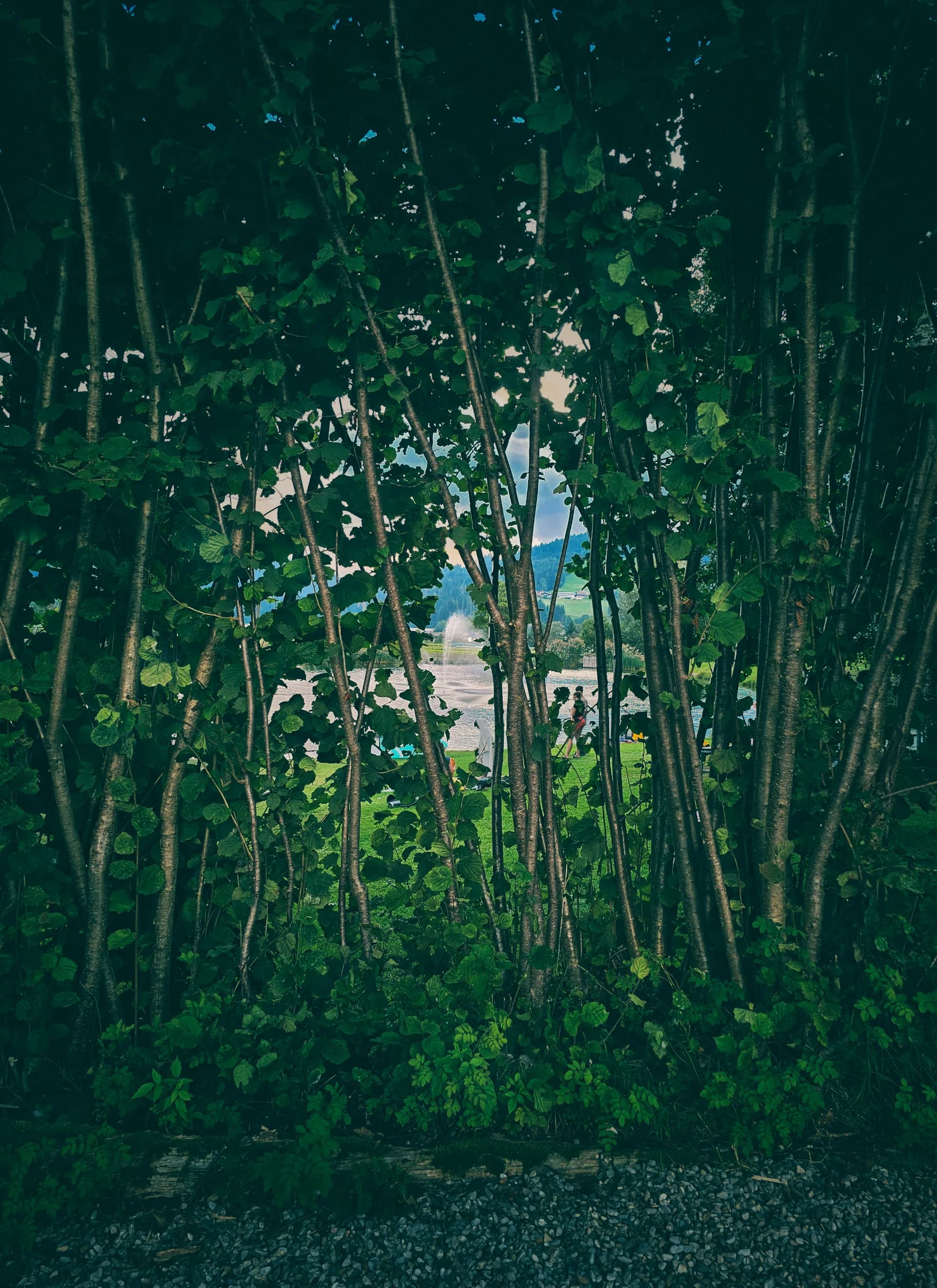 Hidden Paradise