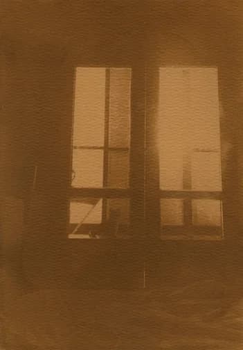 החתול כבר ידע שהלילה נגמר