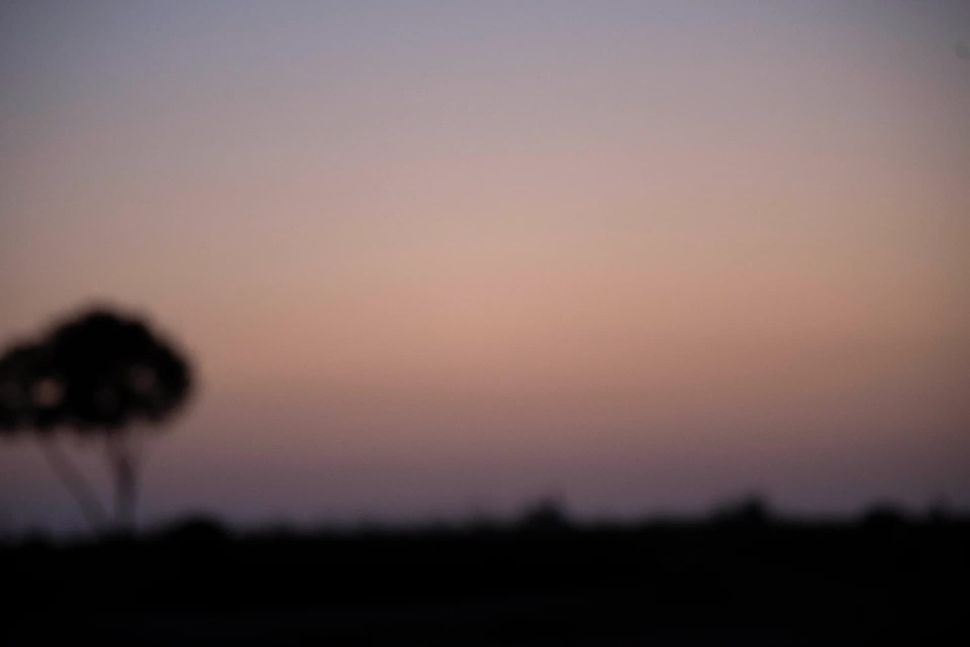 ืฉืงืืขื ืจืืืงื