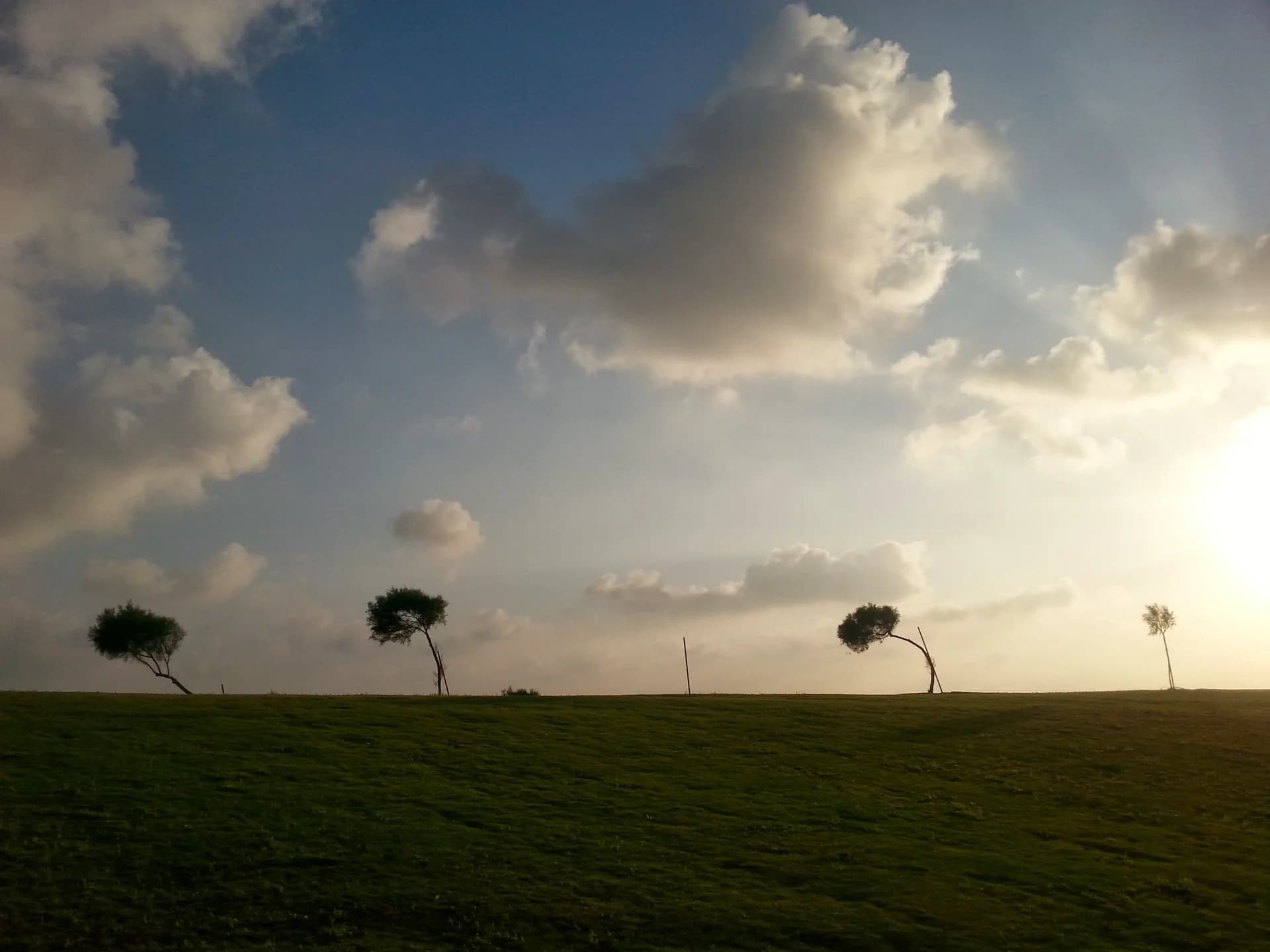 ืคืืจืง ืืืืจืื