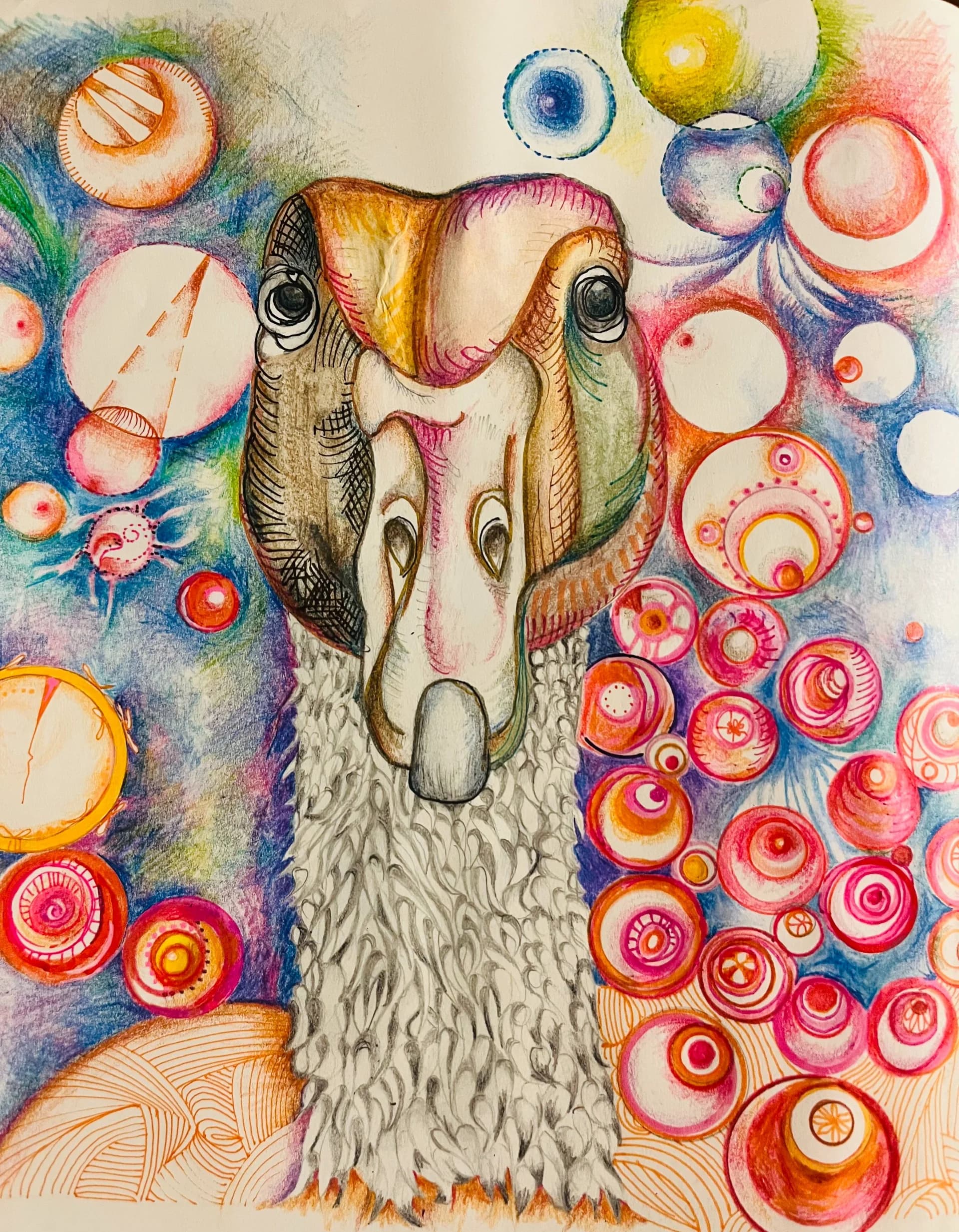 ืืขืื ืืื ืฉื ืืืื