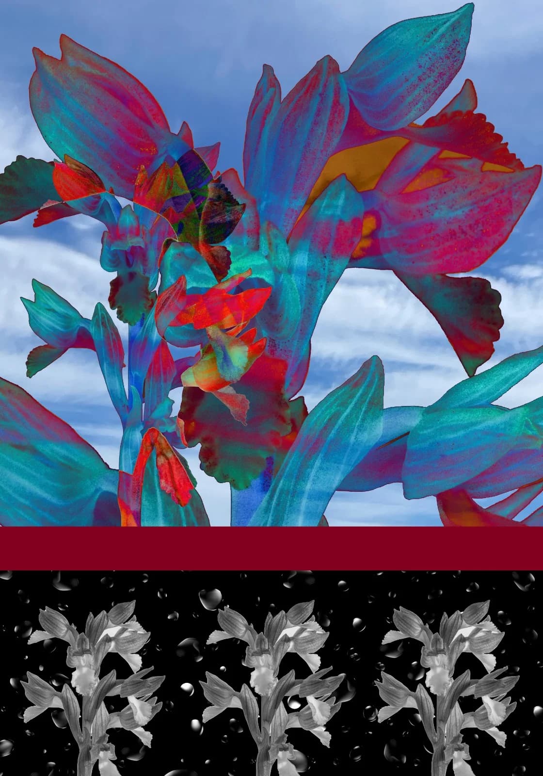 ืืืืจืื ืฆืืขืื ื