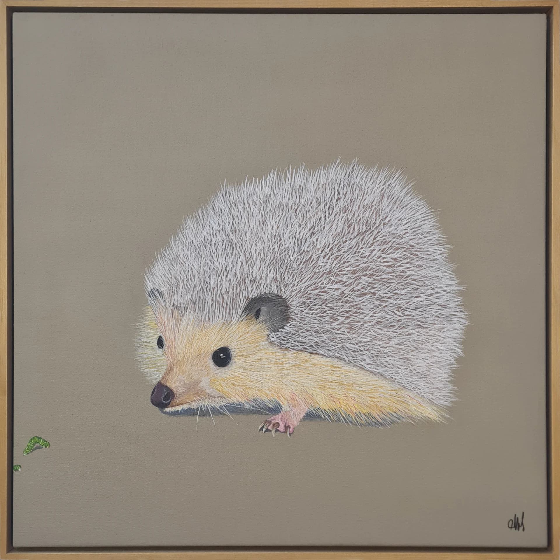 Hedgehog in a chase