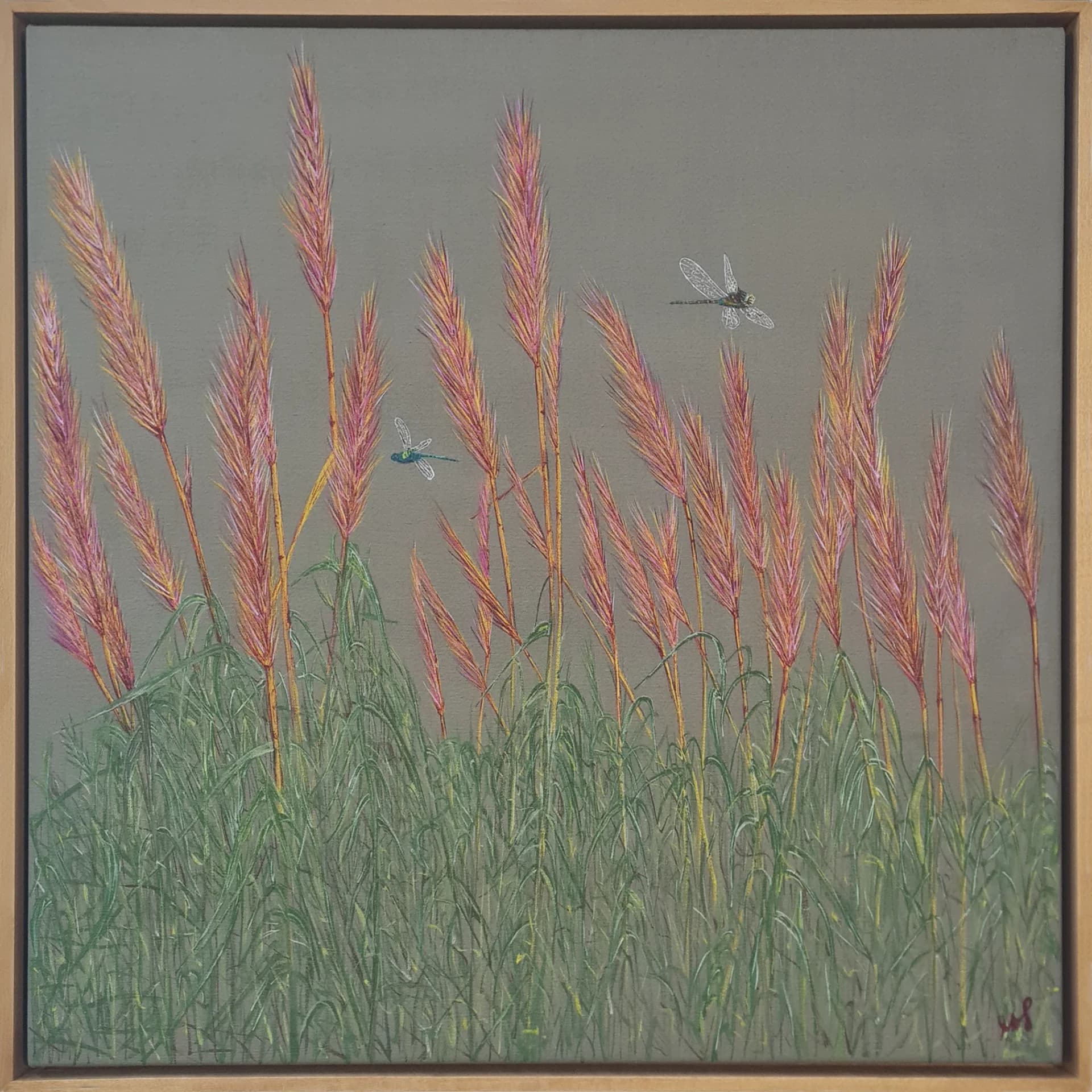 Common reed on canvas