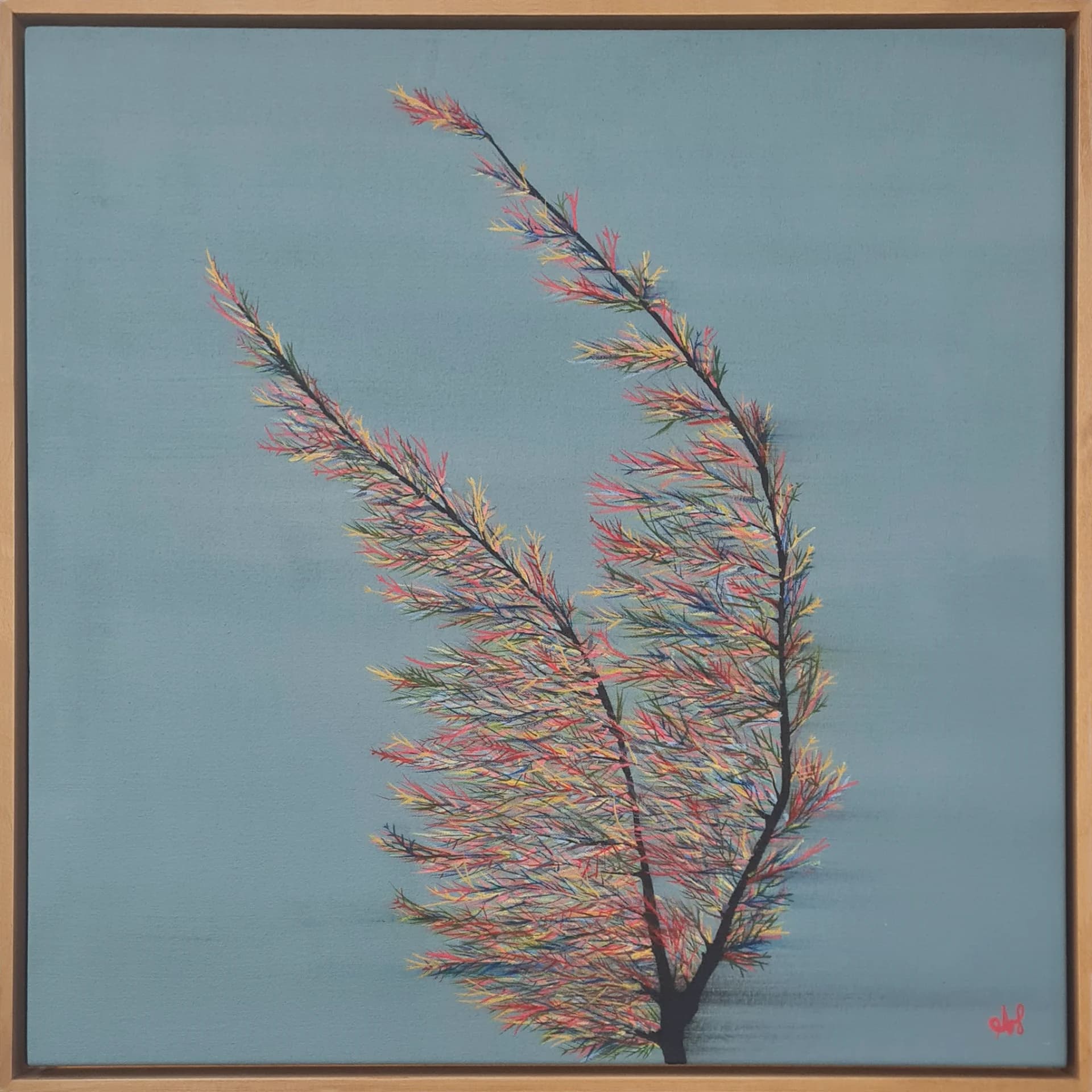 colorful cypress