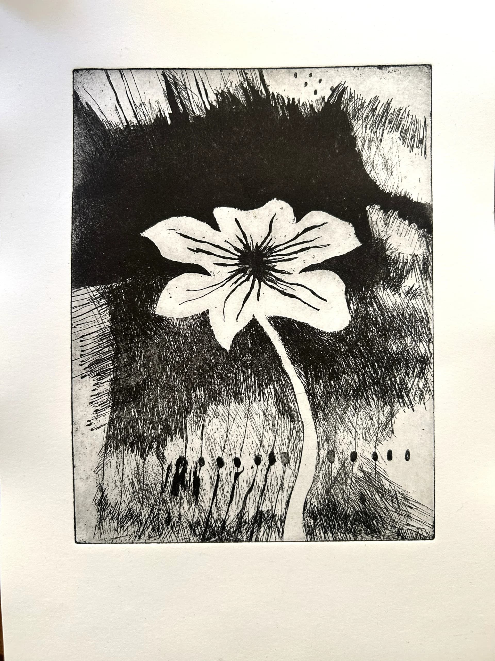 ืคืจื ืืื ื