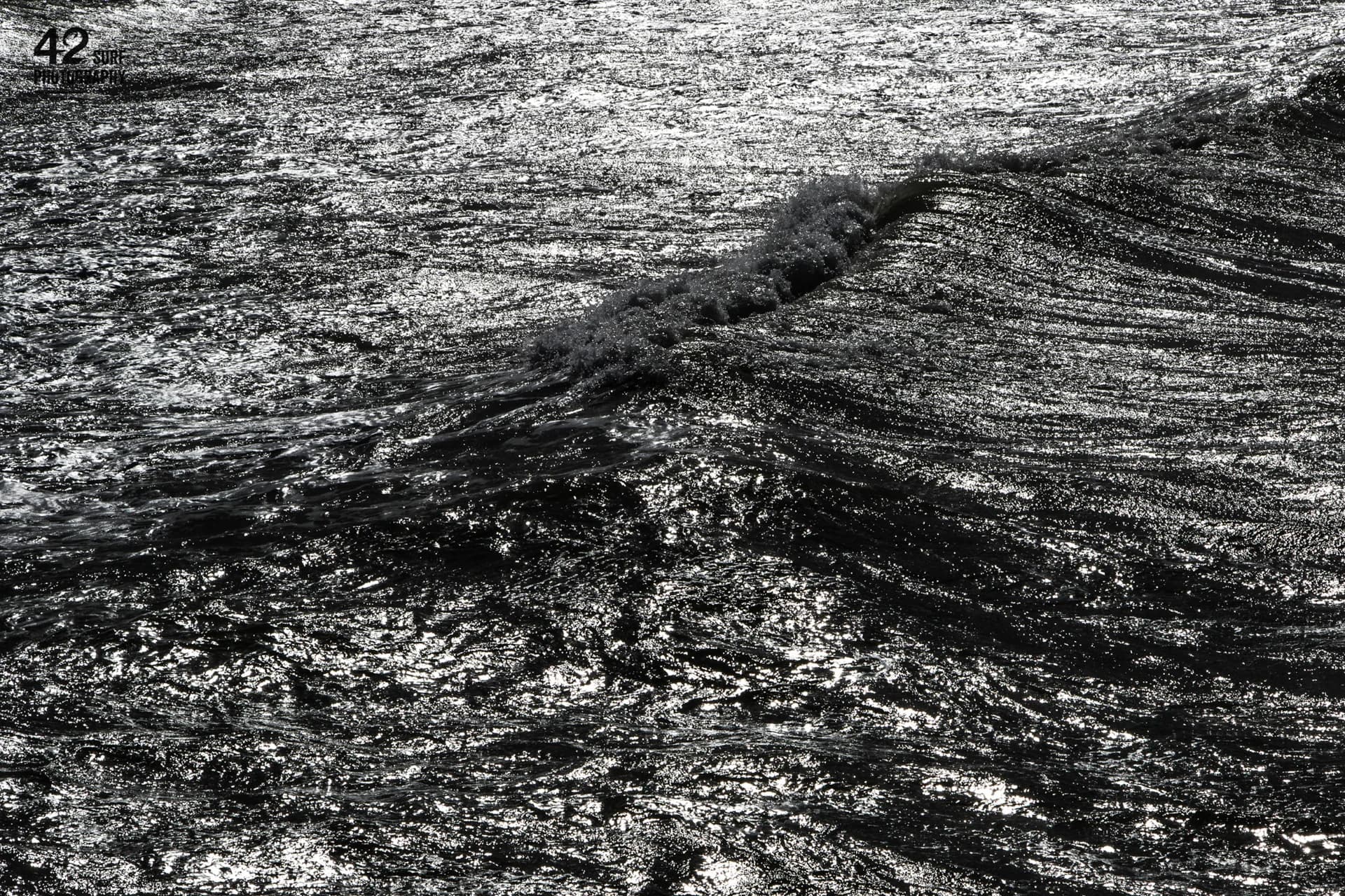 Black Water, Silver Light