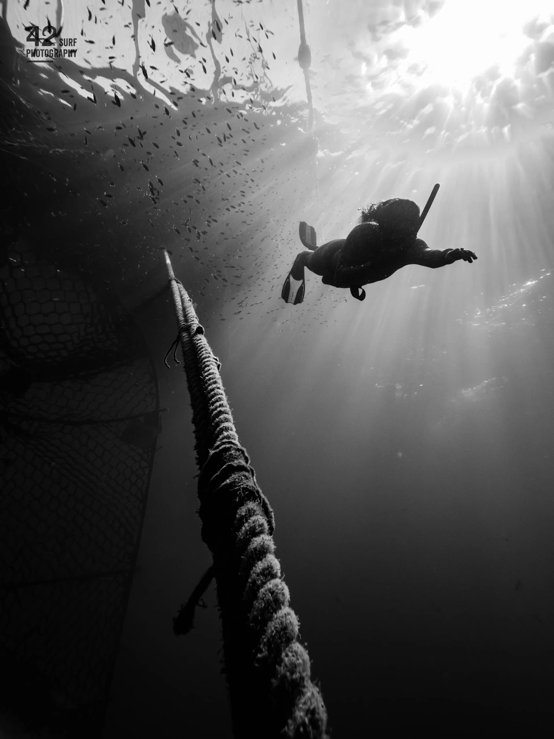 Choosing the Deep