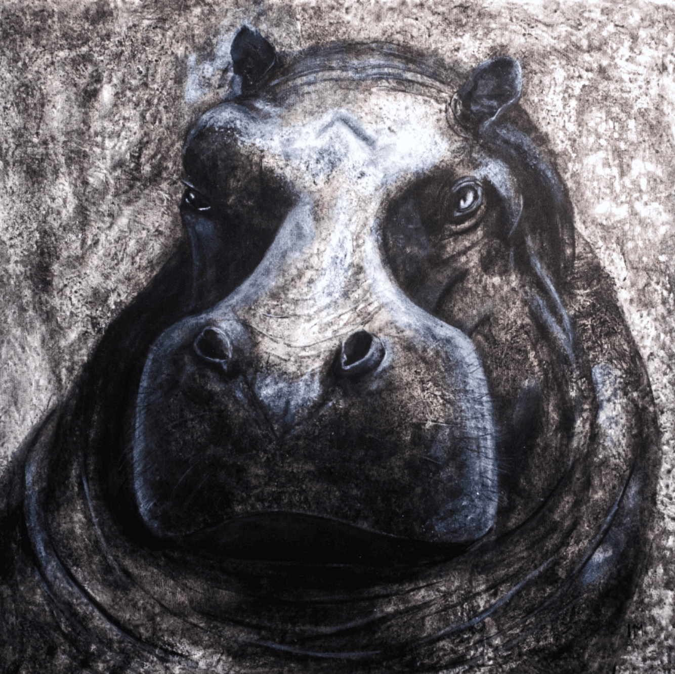 The Vanishing Hippopotamus