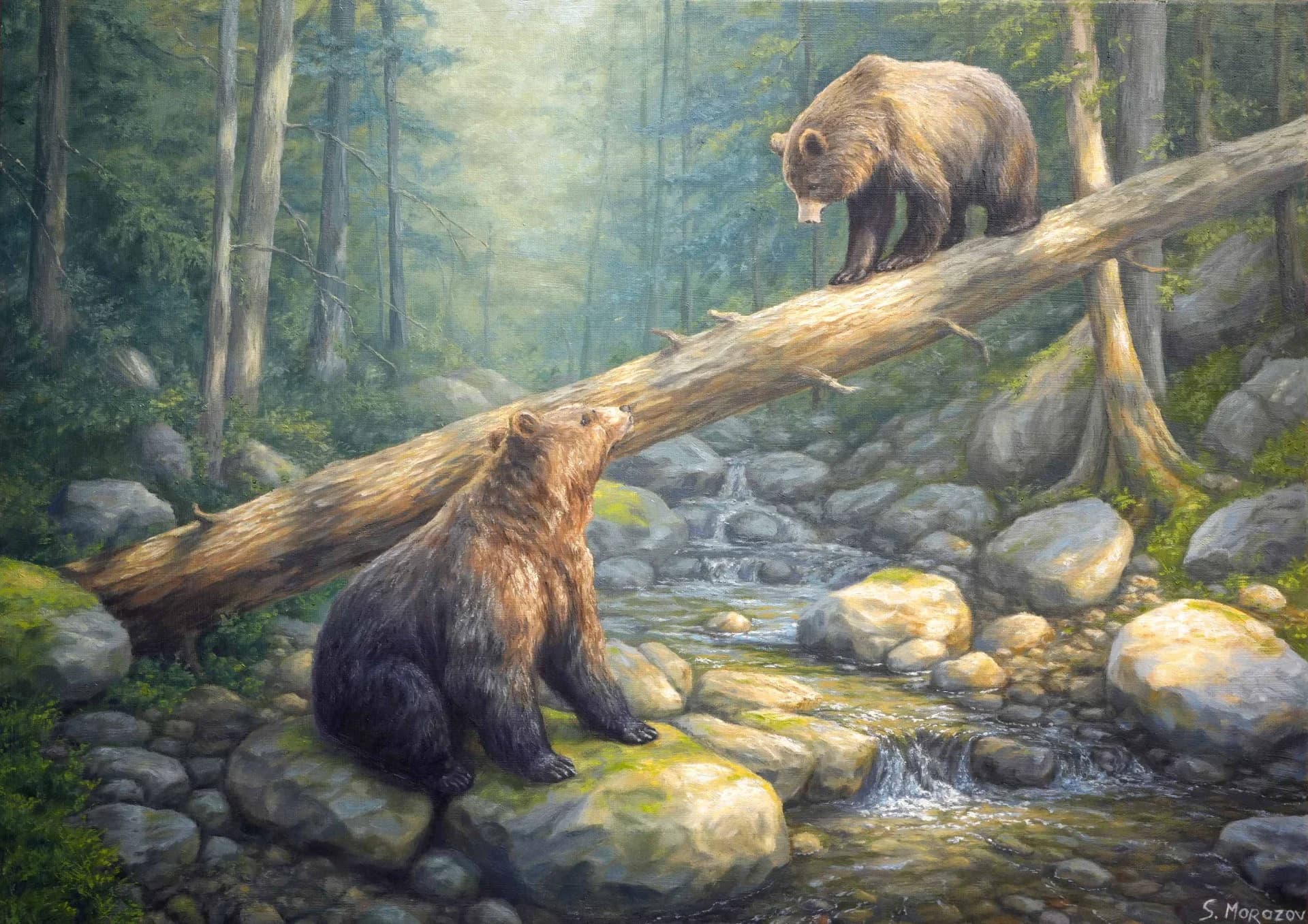 Forest Encounter