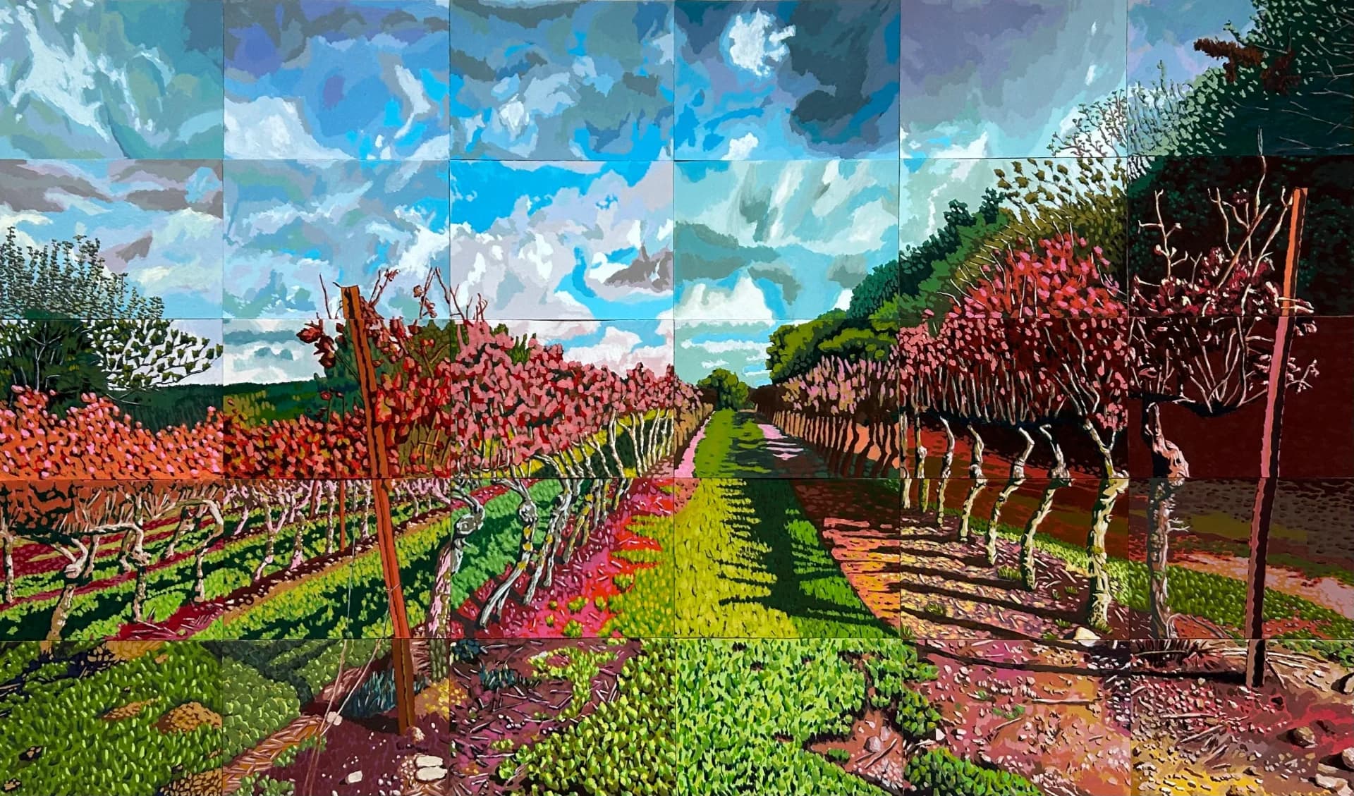 Where the vines dream in color