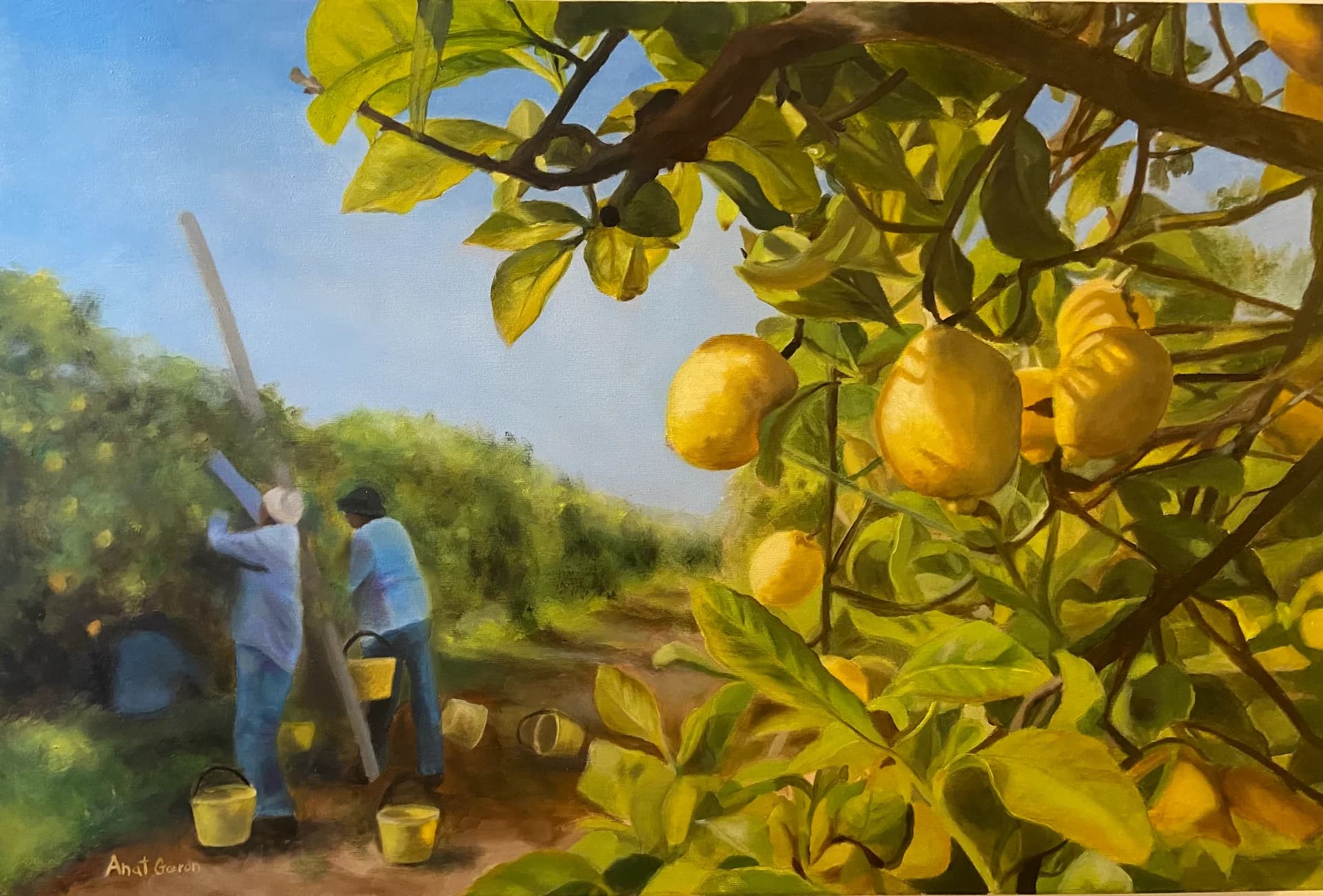 picking lemons