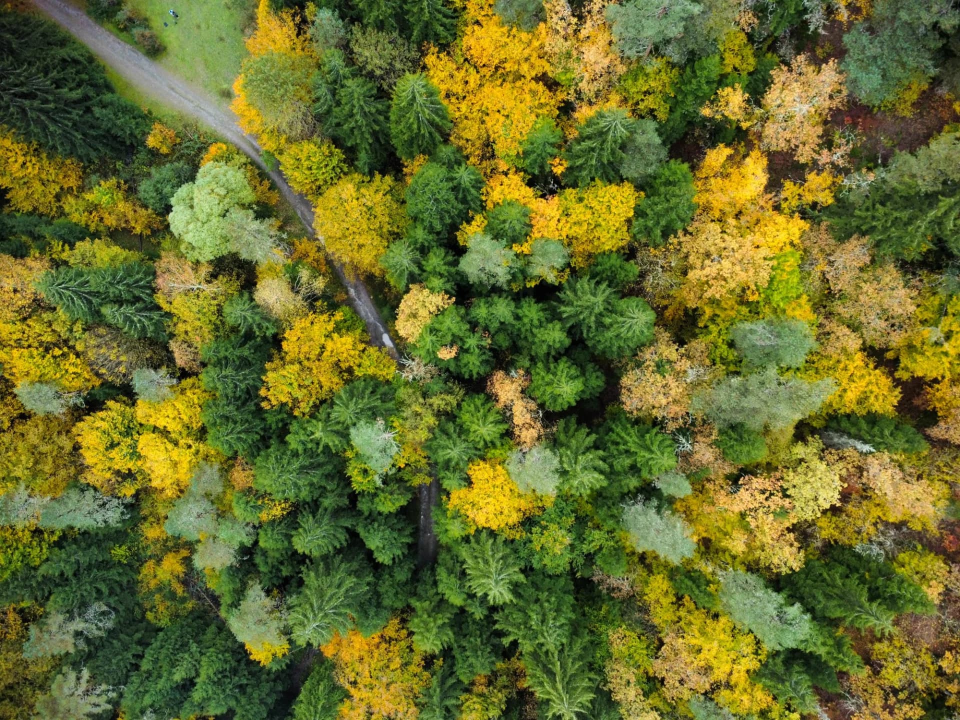 abundance